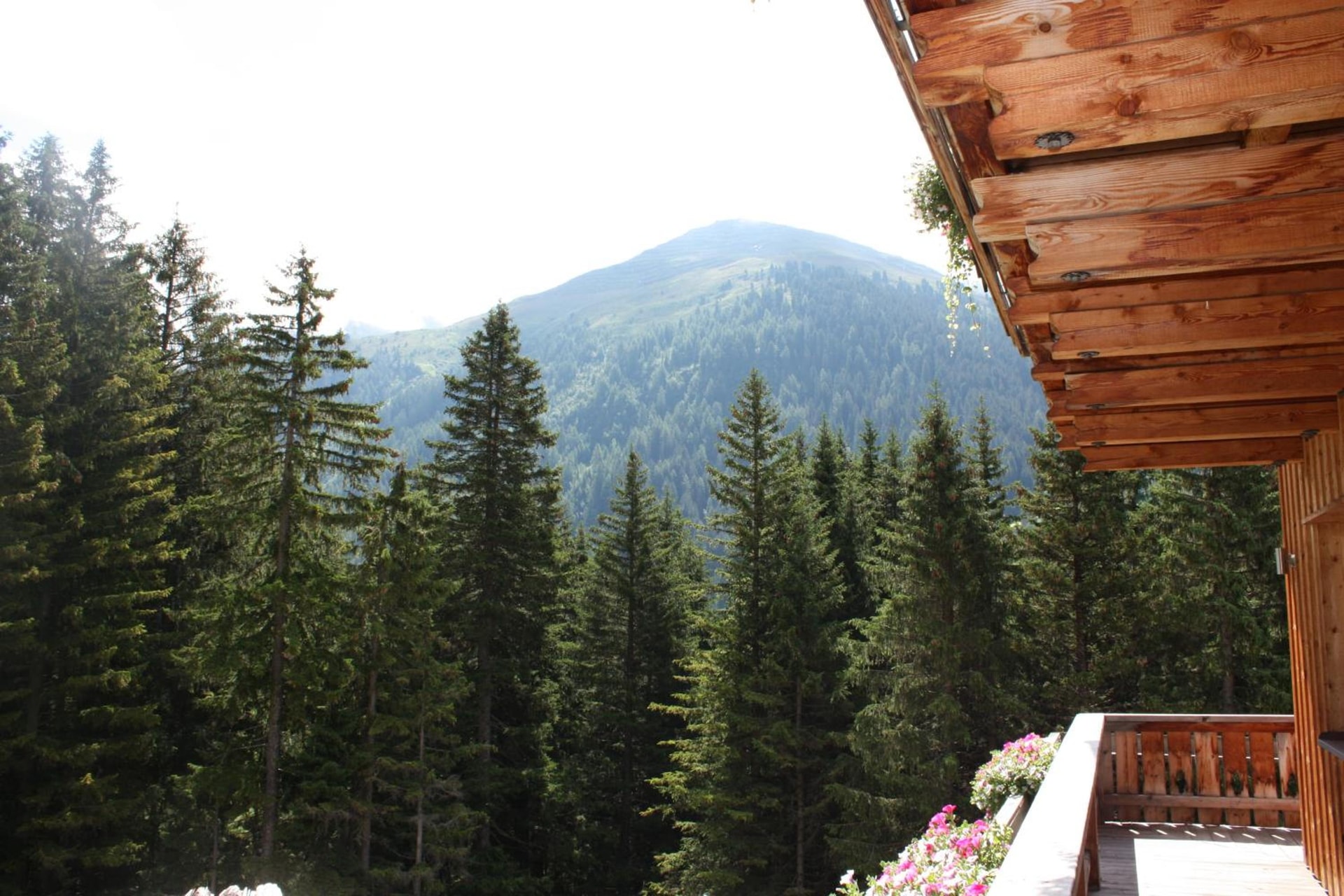 Pension Sattelkopf