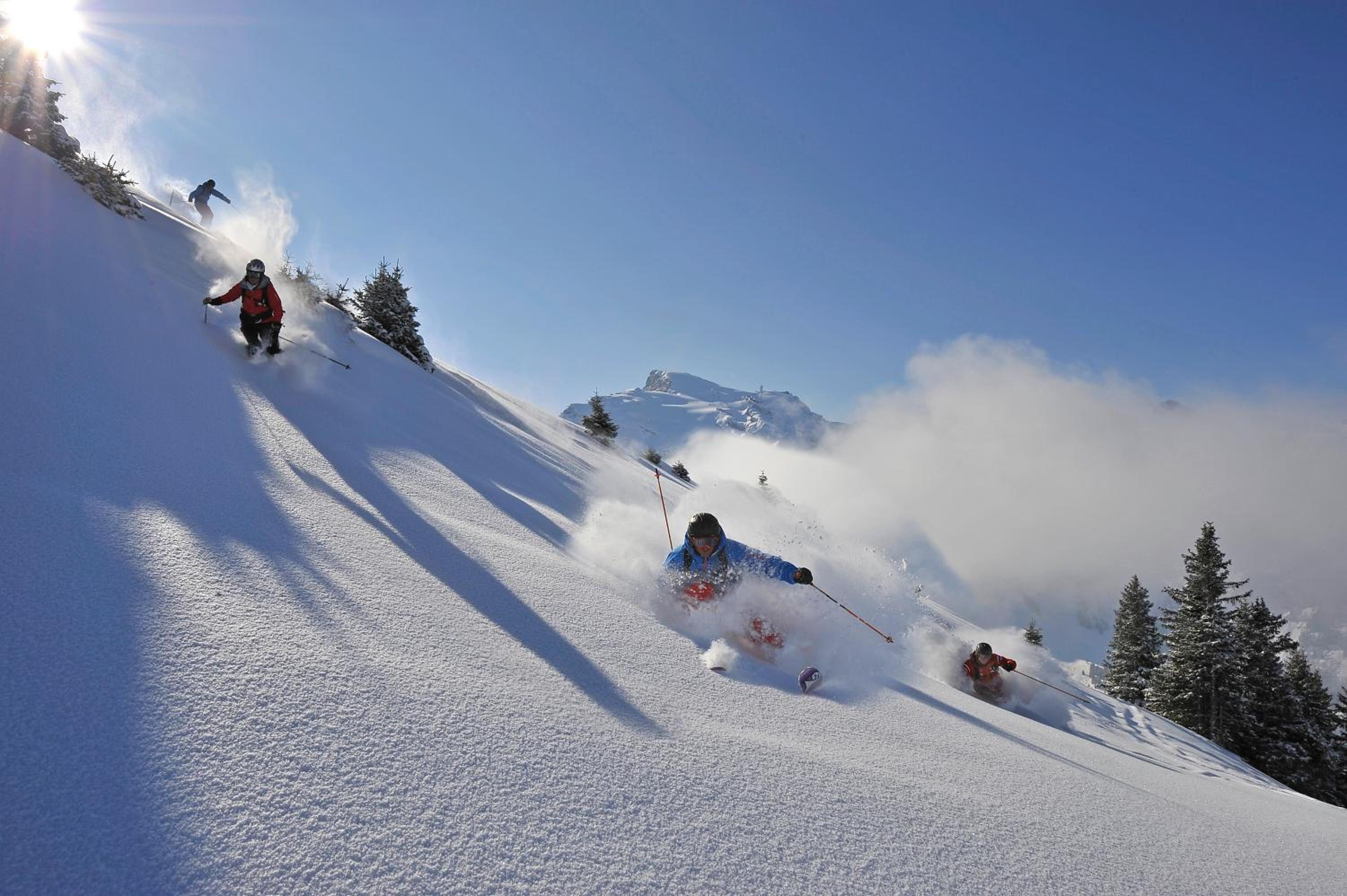 Hotel Waldegg - Adults only