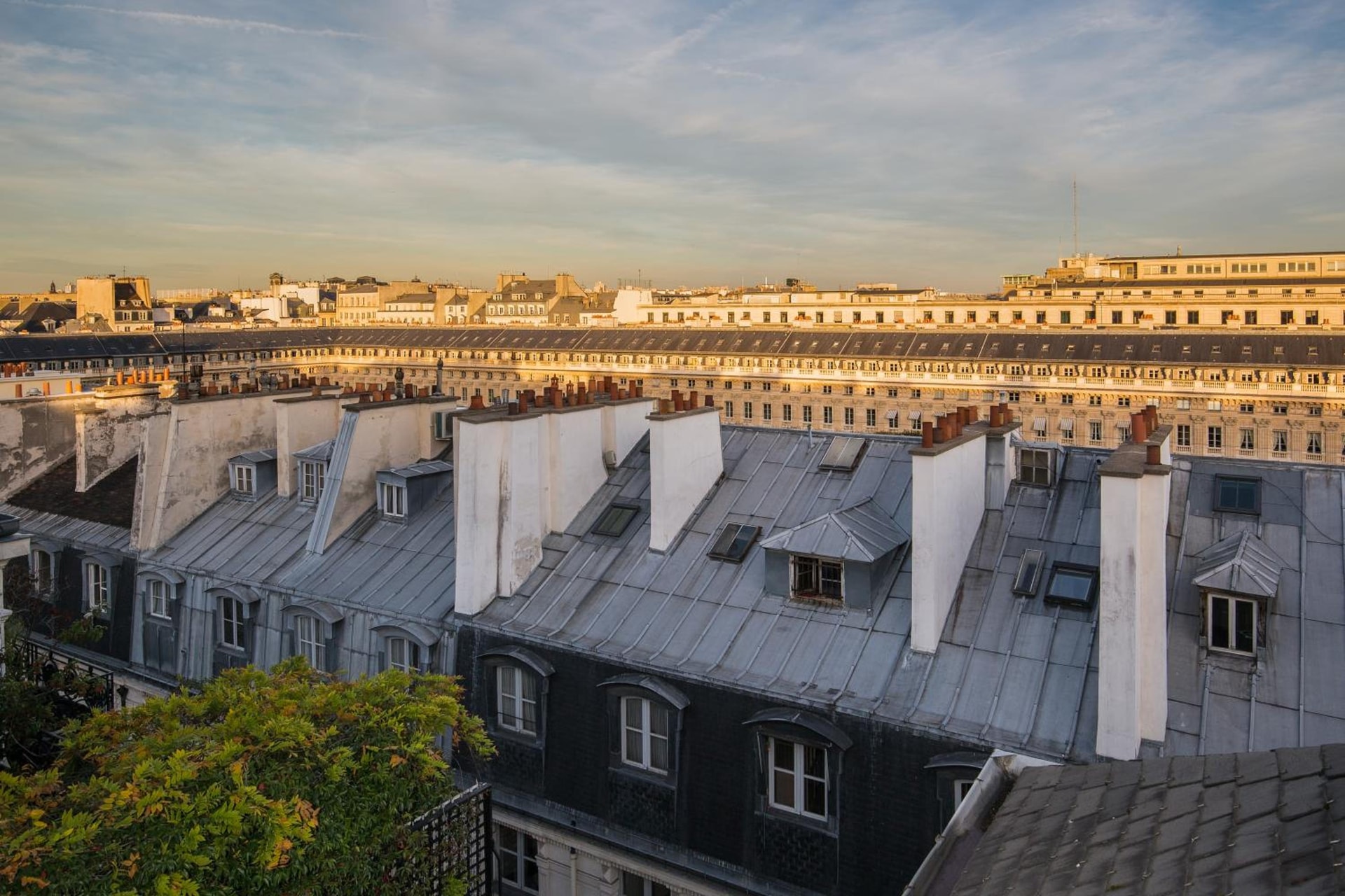 roof