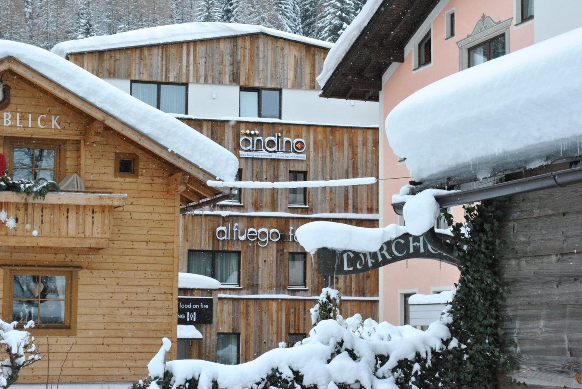 Hotel Andino