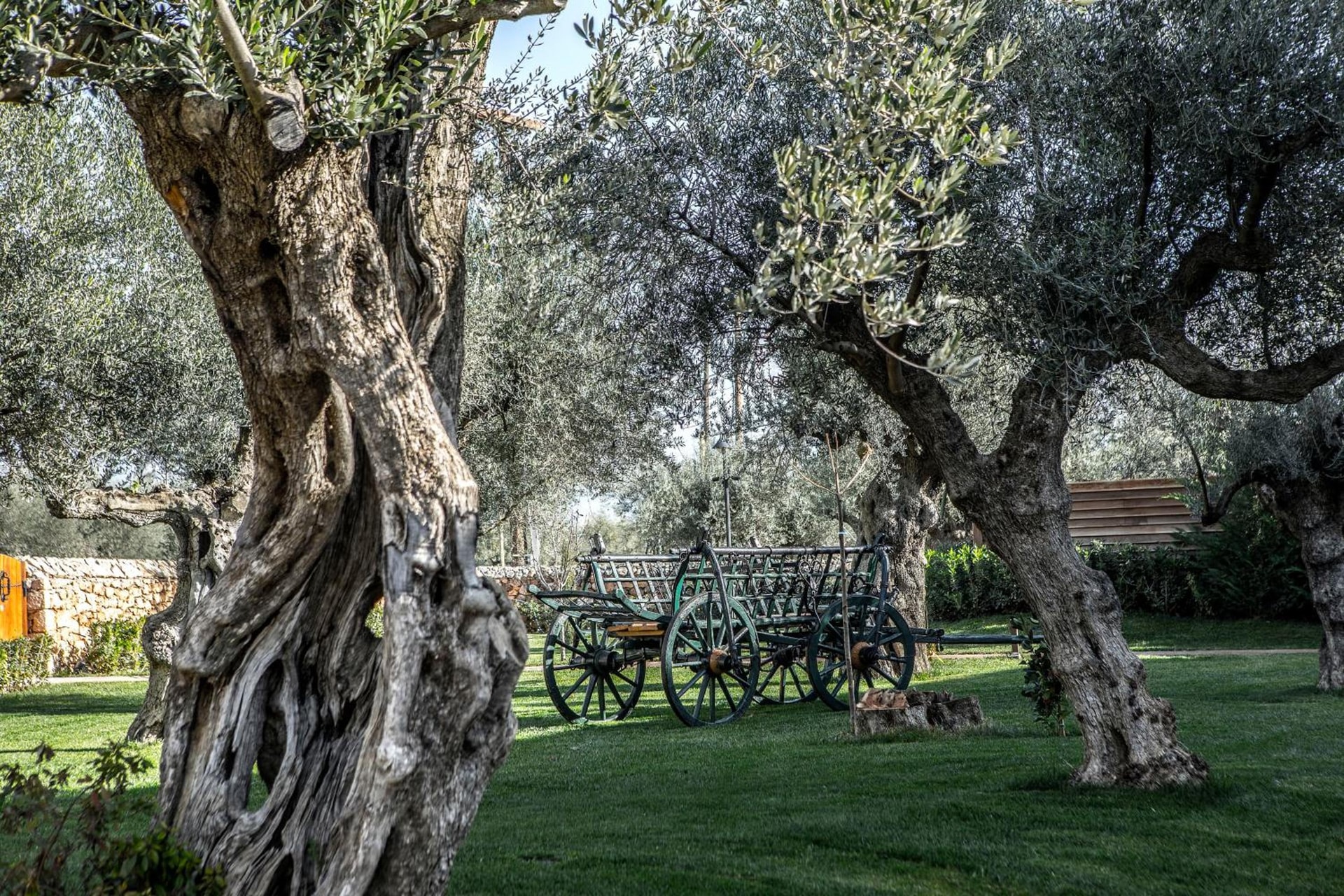 Mystras Grand Palace Resort & Spa
