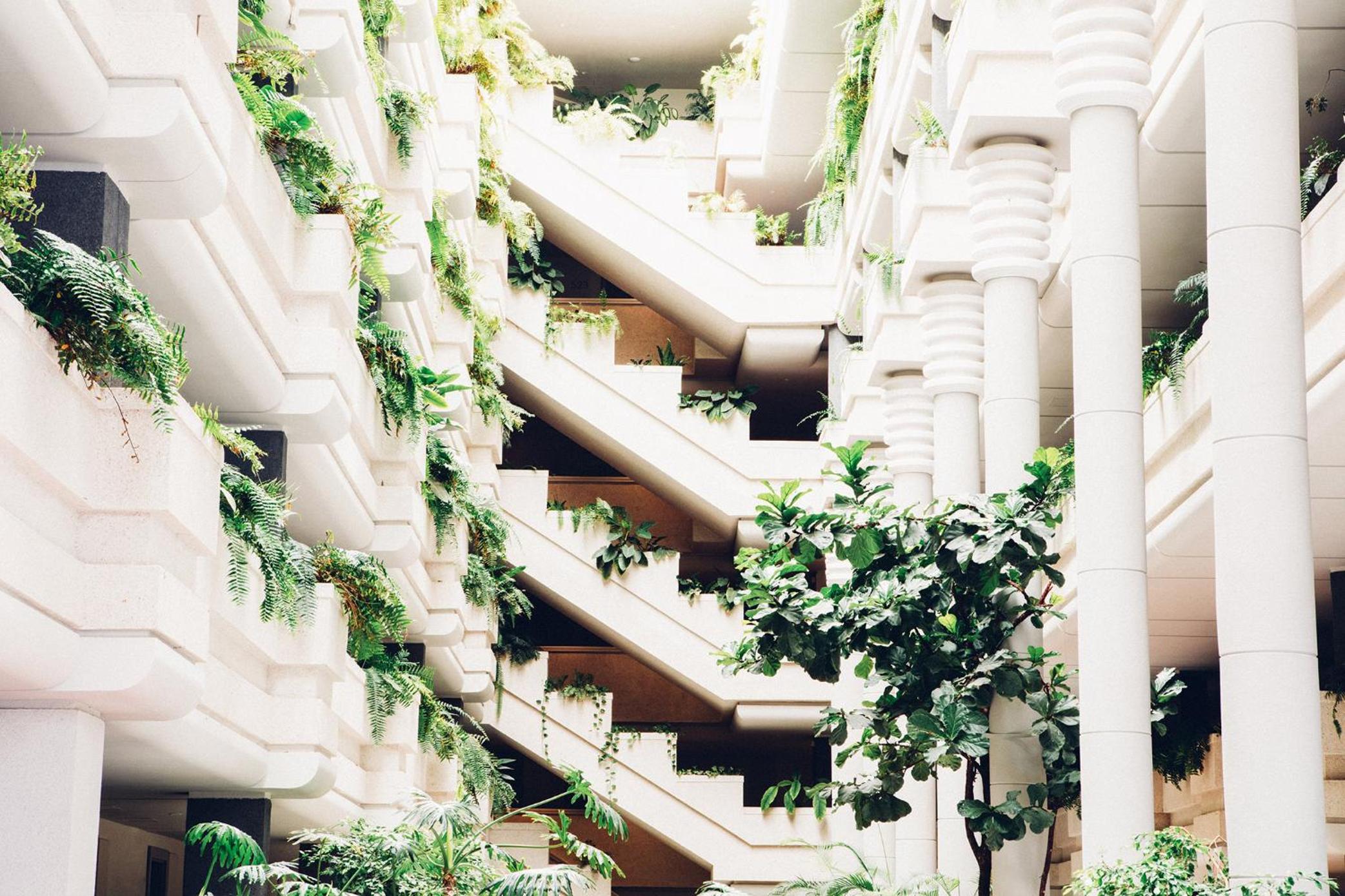 building