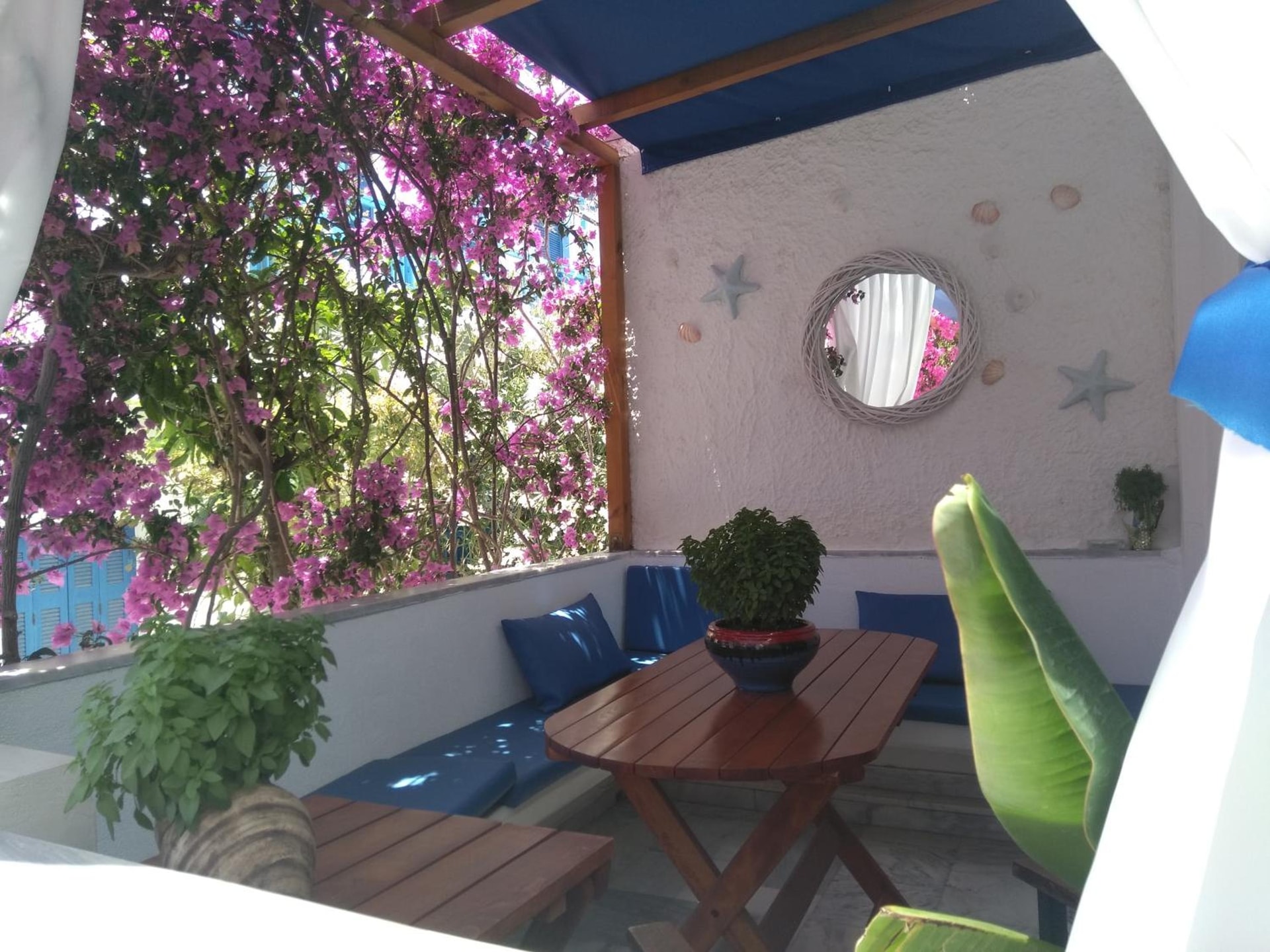 Doron Hotel Delfini