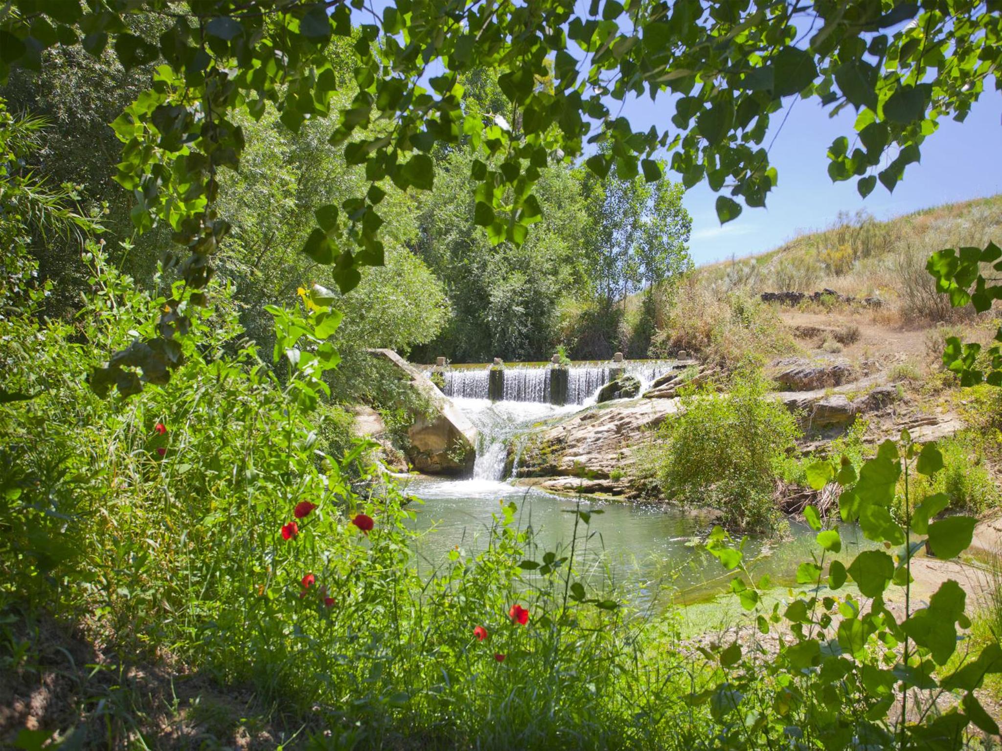 Hotel Rural Molino del Puente Ronda