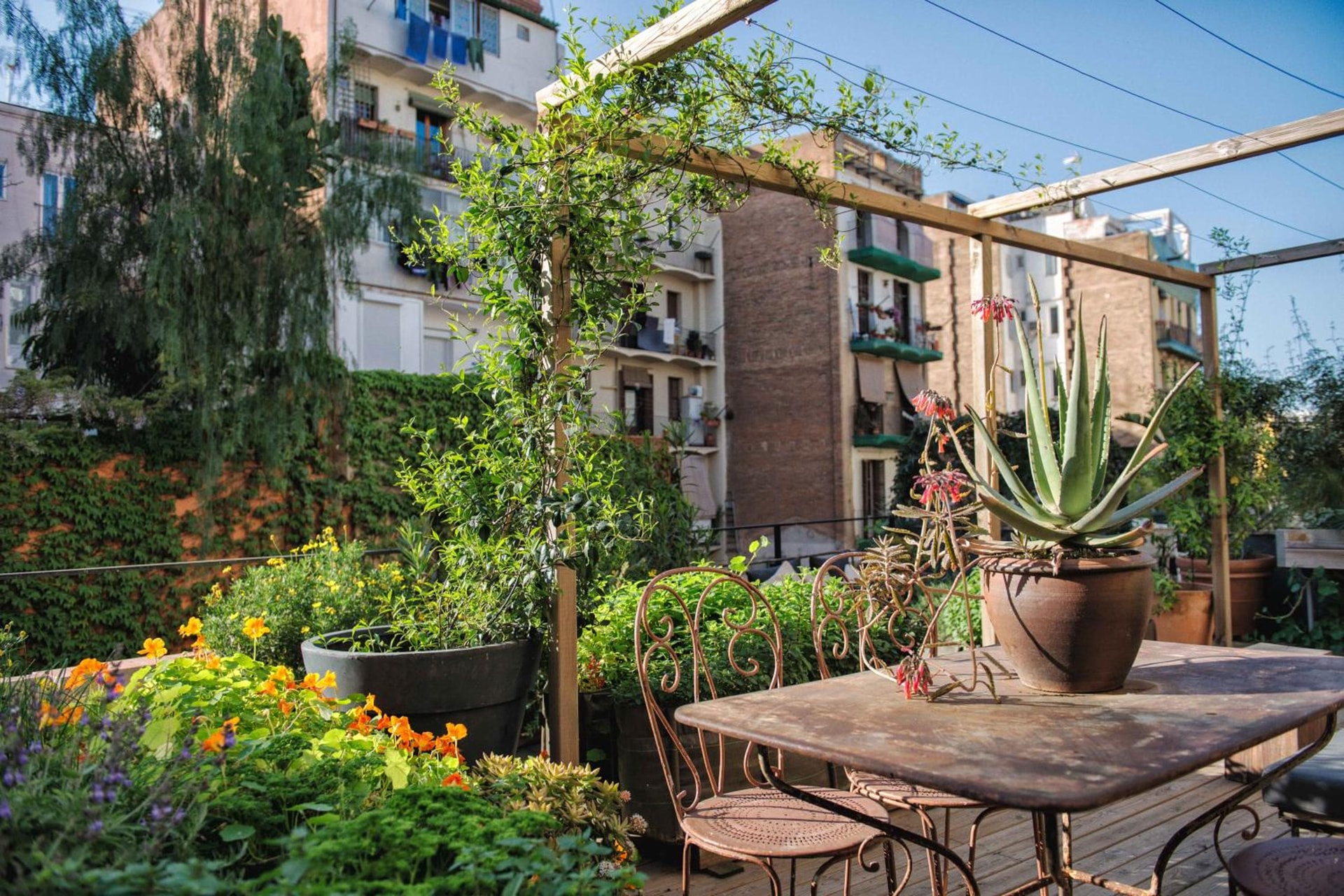 balance & terrace
