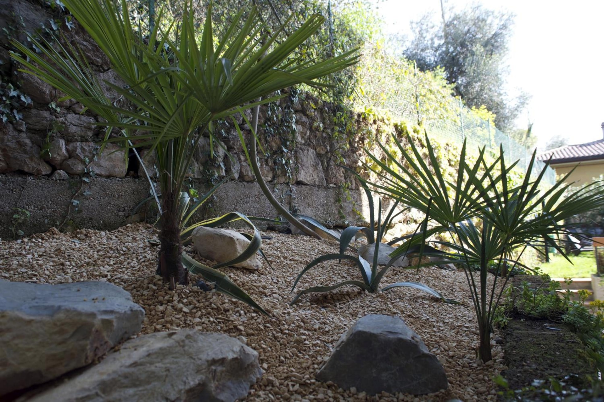 Albergo Villa Edera