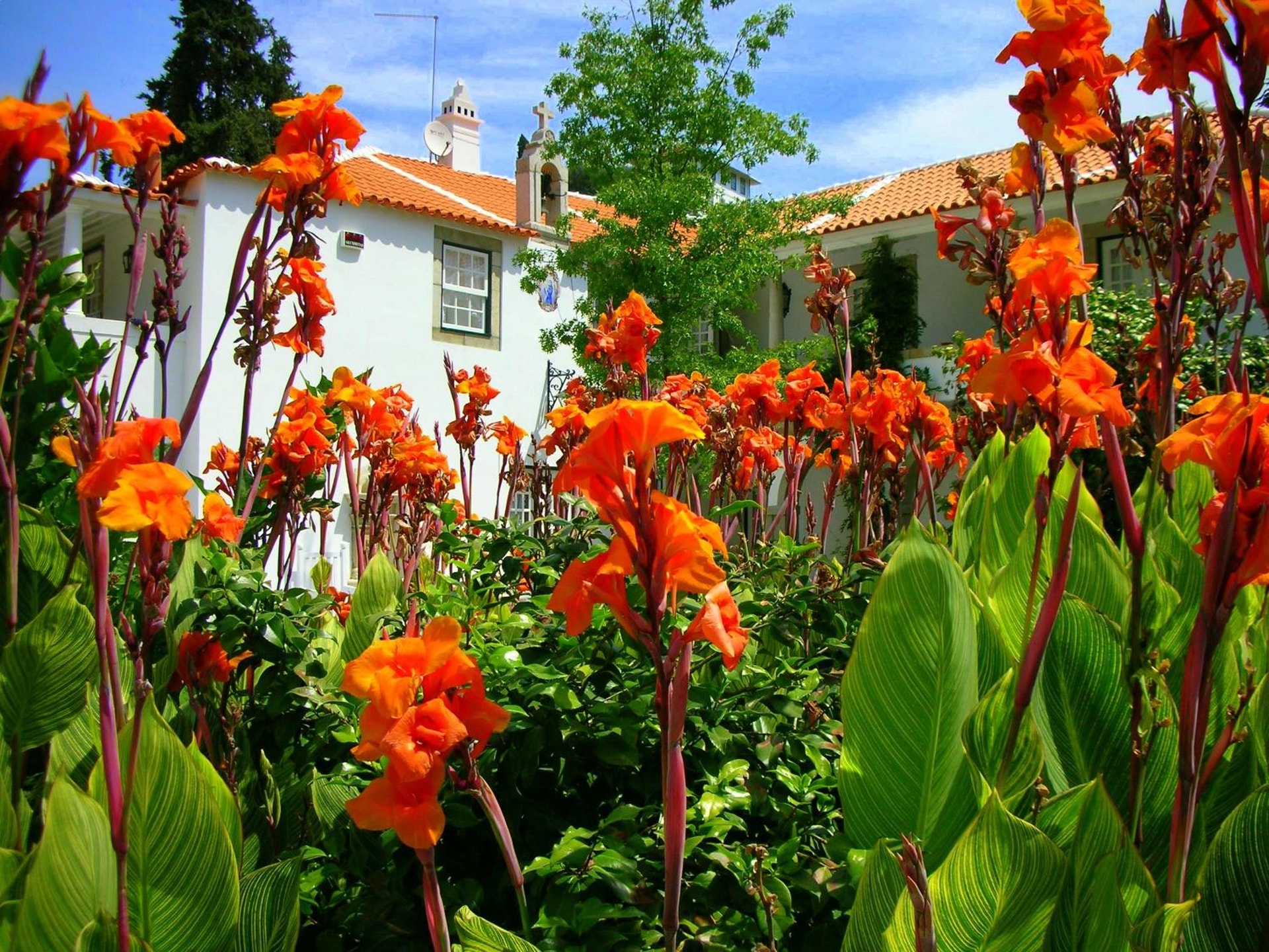 Casa da Azenha