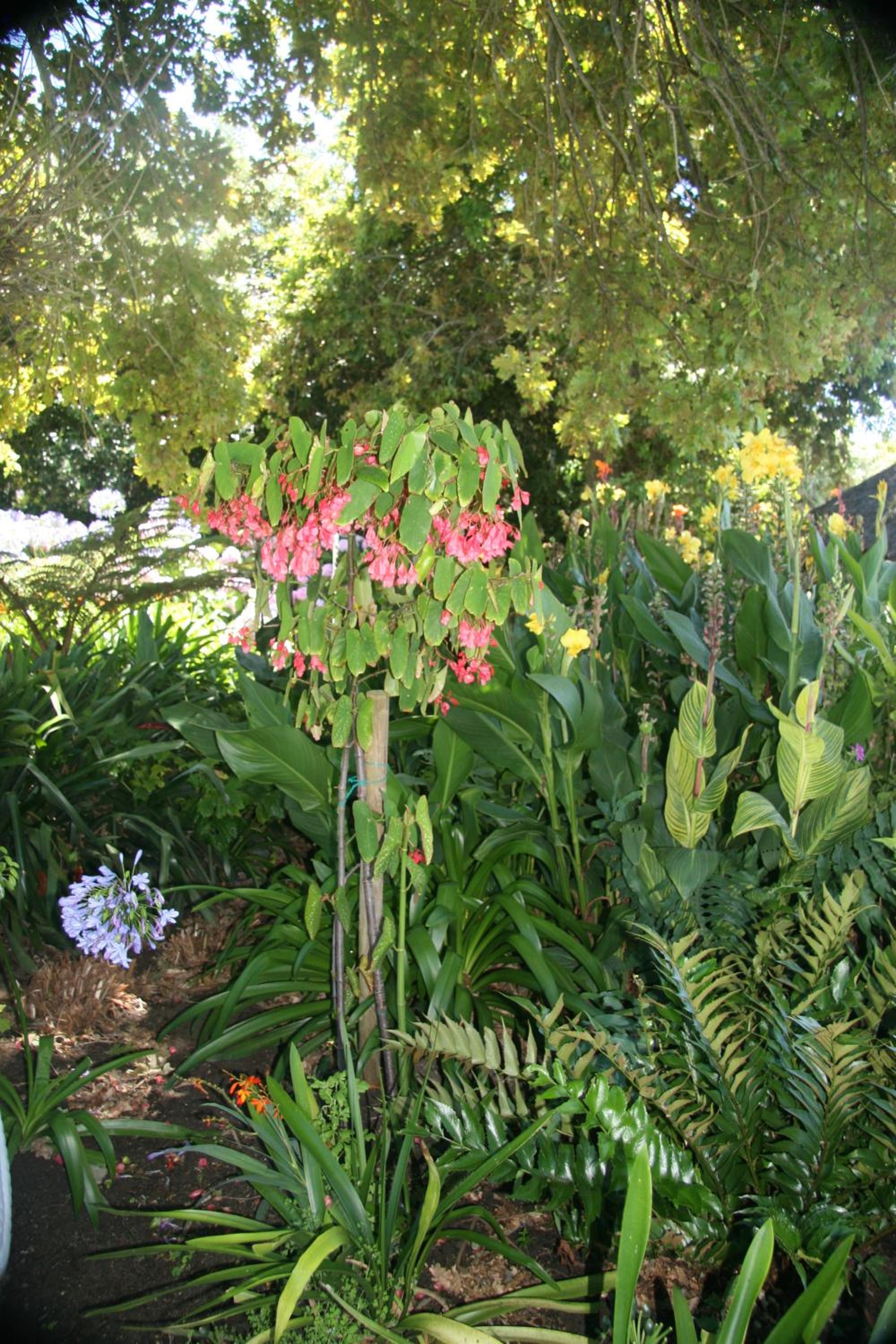 Glen Avon Lodge - Constantia