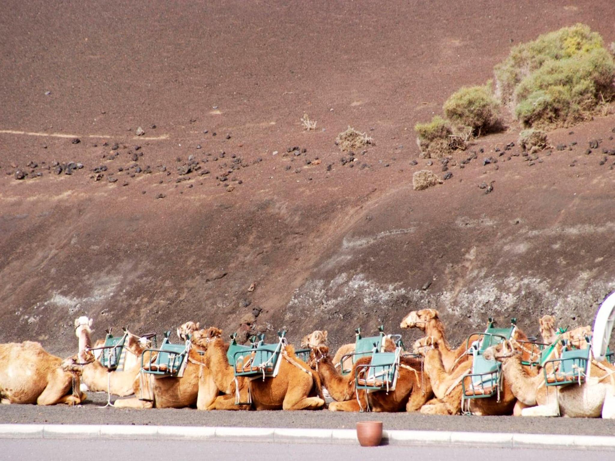 Sandos Papagayo