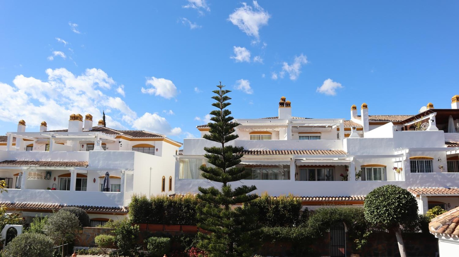 Apartamento NAGUELES 31