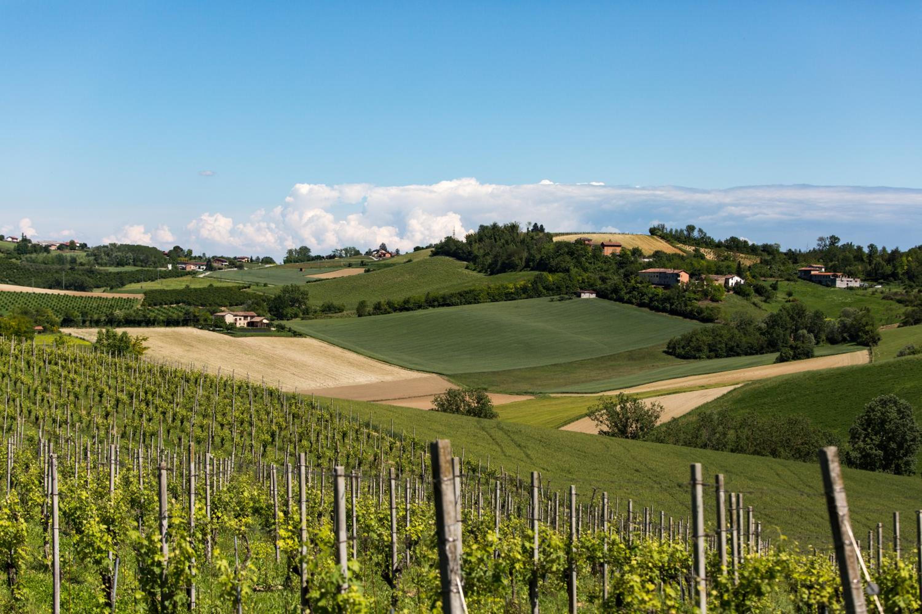 SPINEROLA Nature Living in Monferrato ADULTS ONLY
