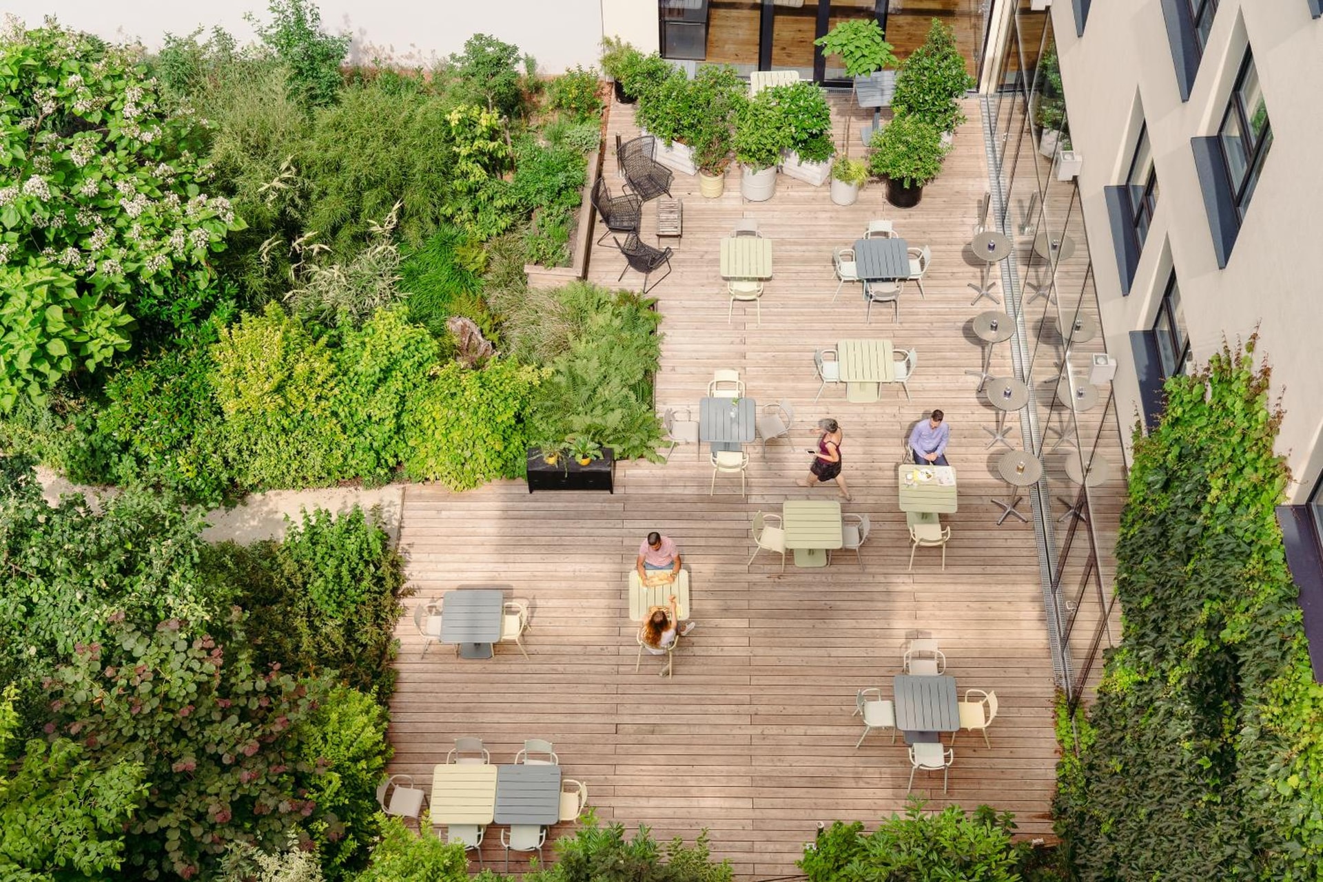 balance & terrace