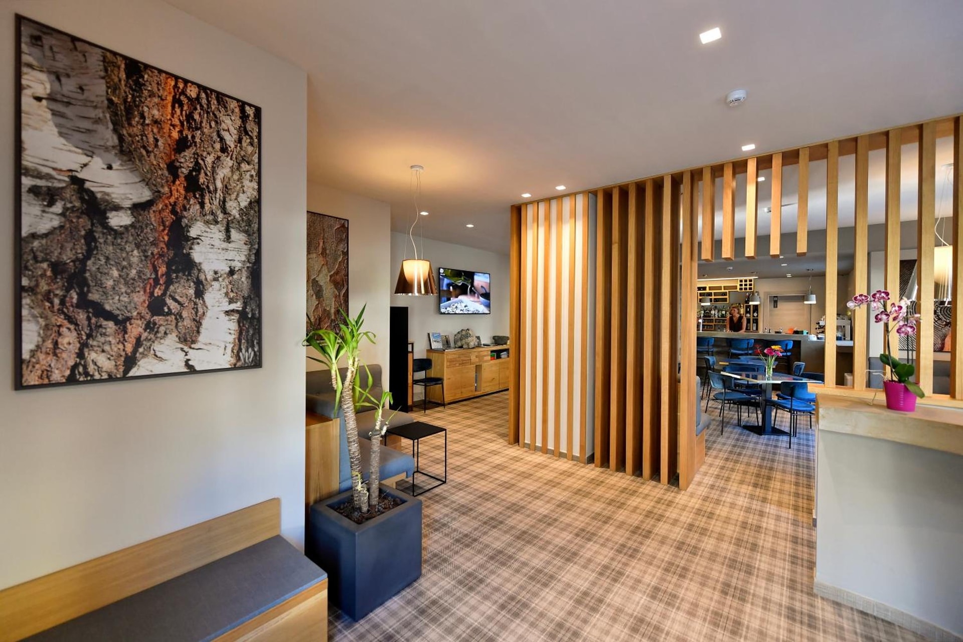 recepcion & lobby
