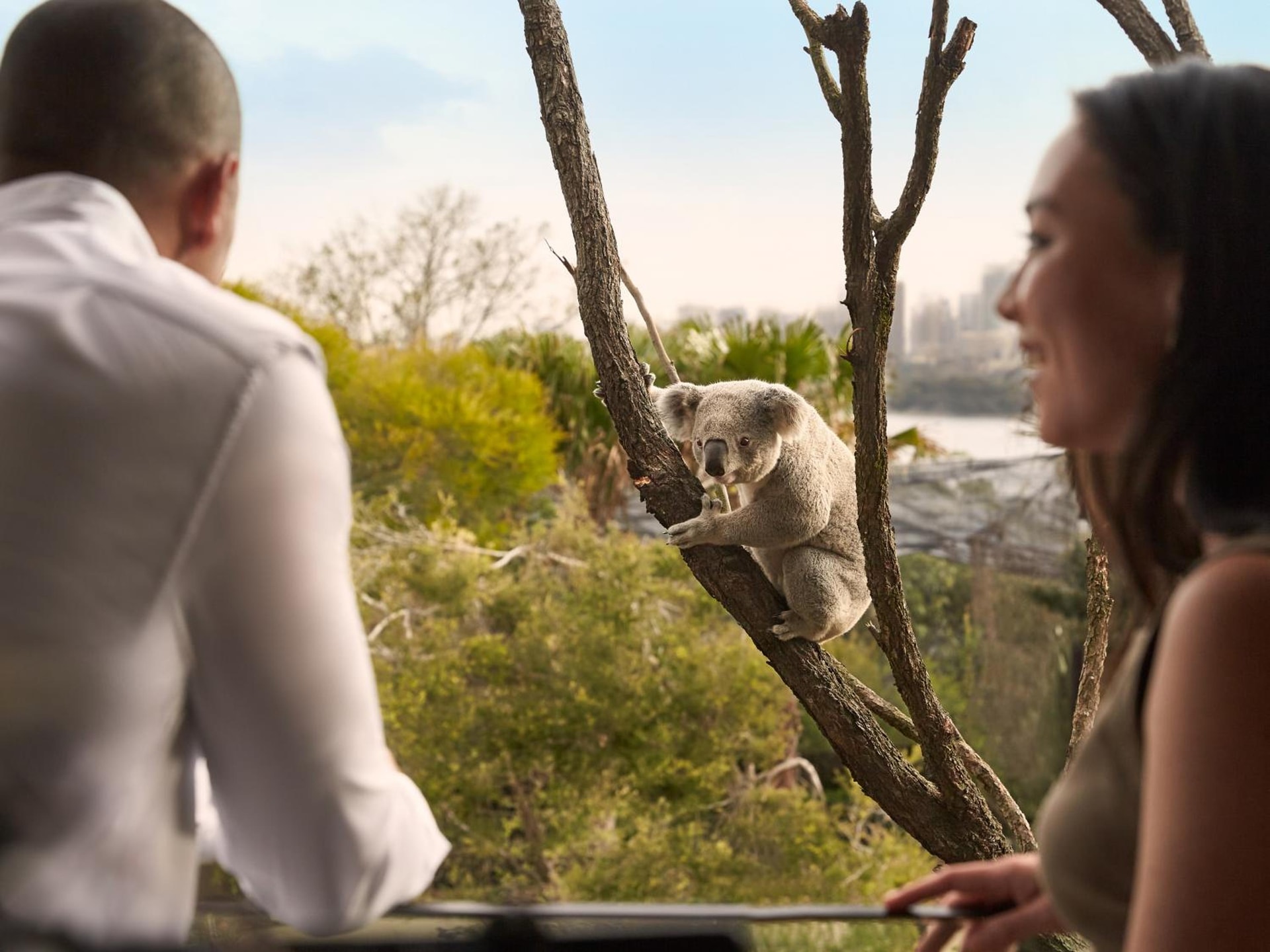 Wildlife Retreat at Taronga