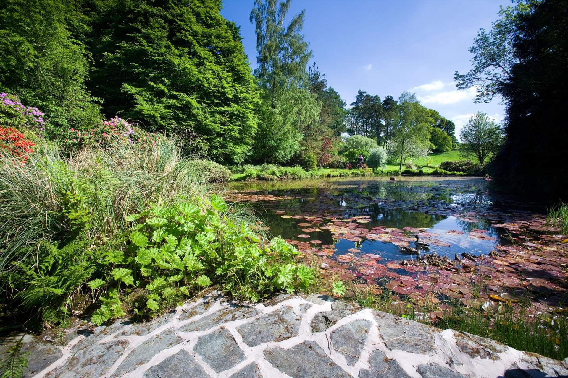 Lindeth Fell Country House