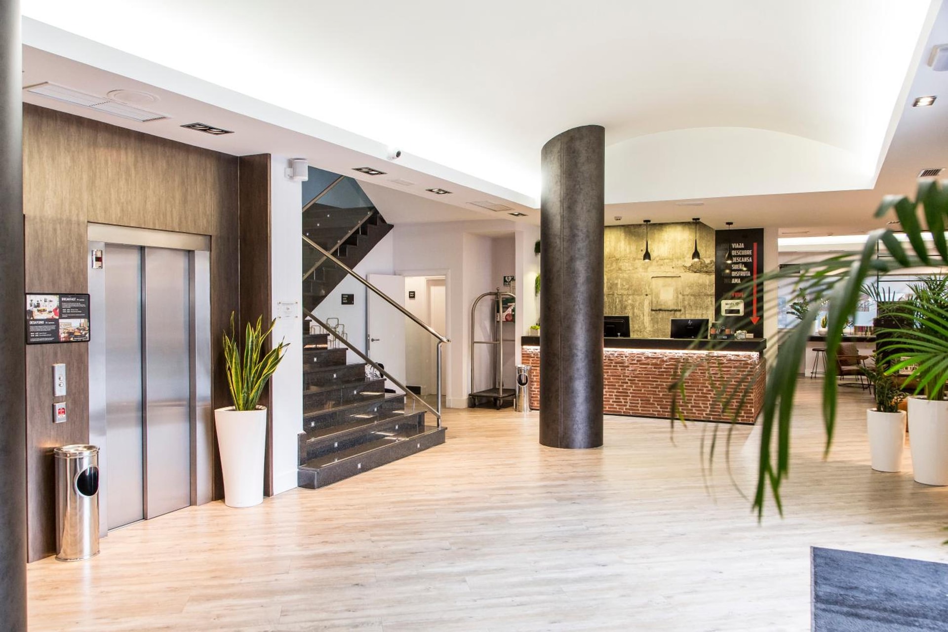 recepcion & lobby