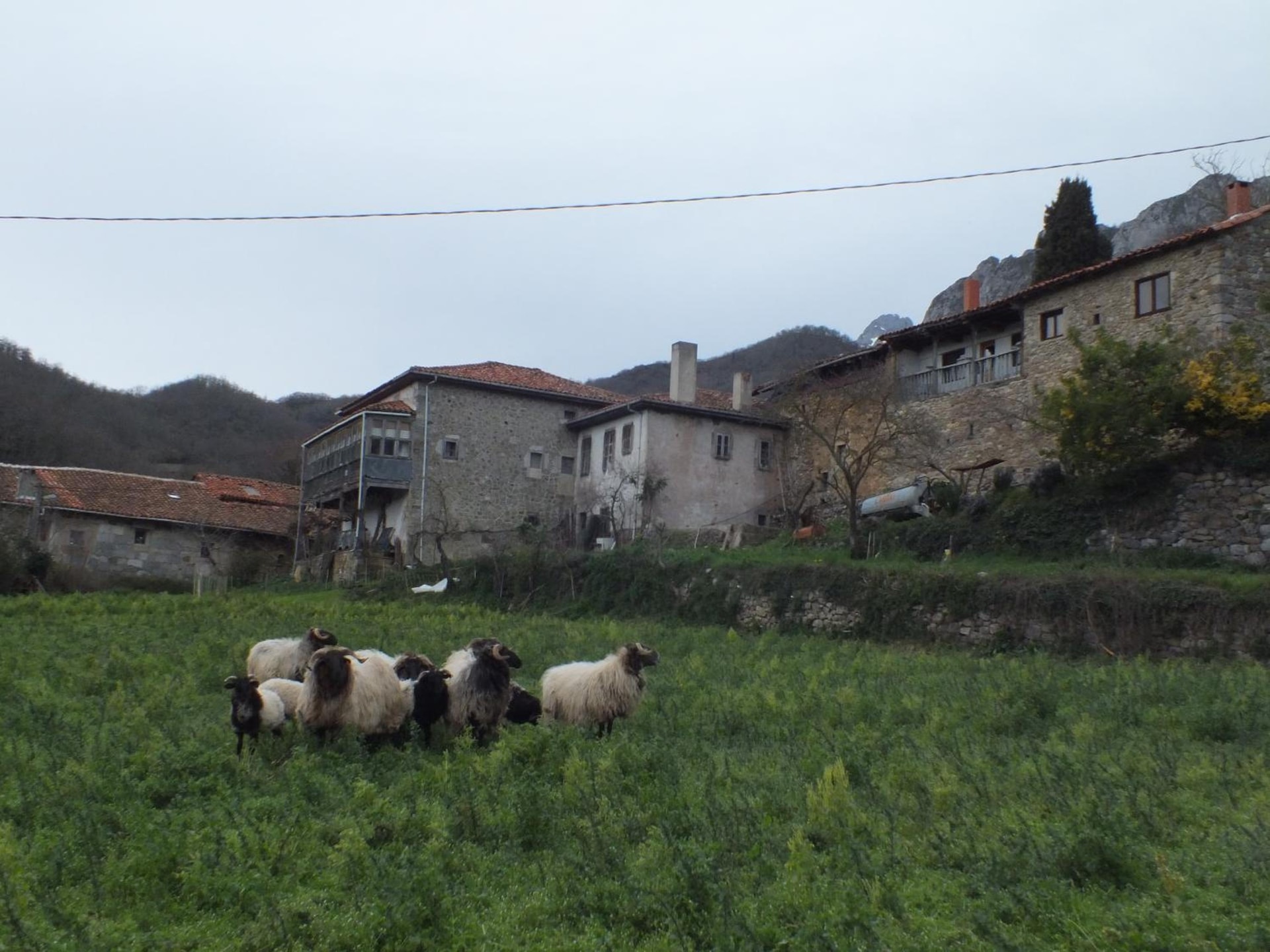 Casa Rural el Enebral en Potes Picos de Euopa