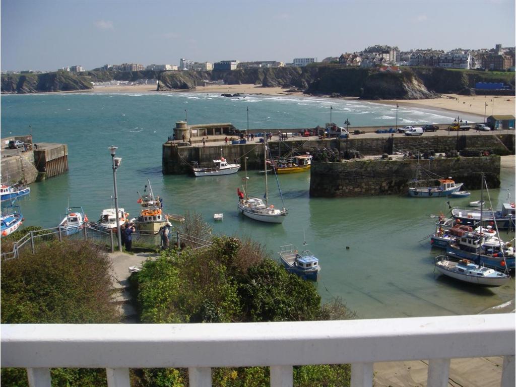 The Harbour