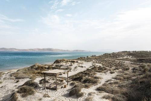 OKU Kos