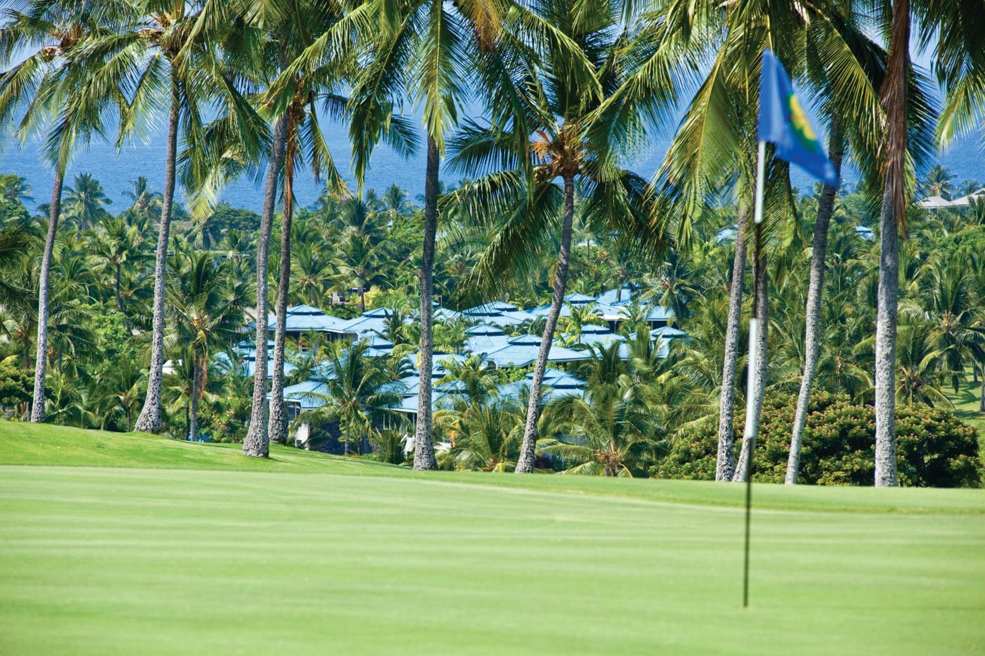 Holua Resort