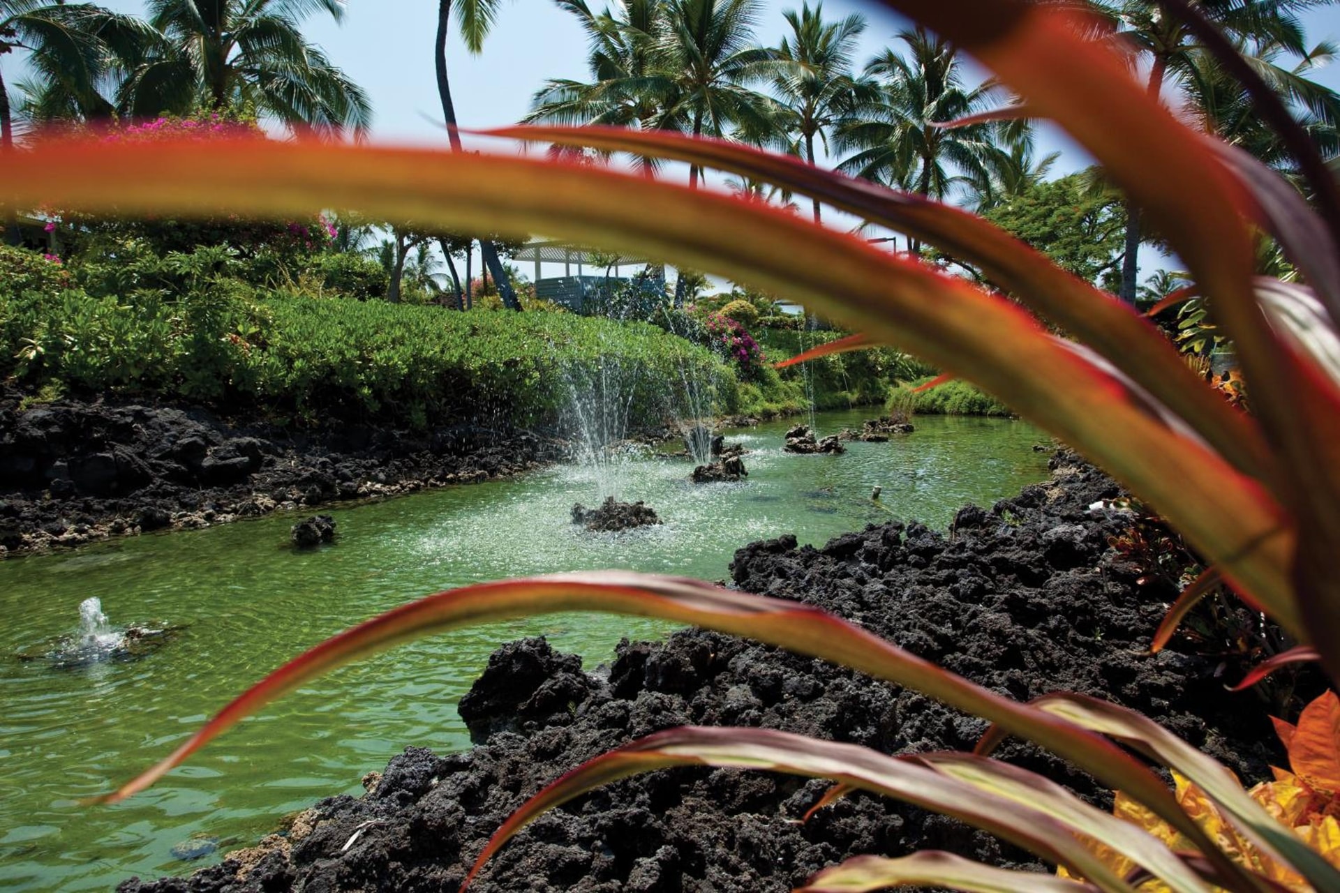 Holua Resort