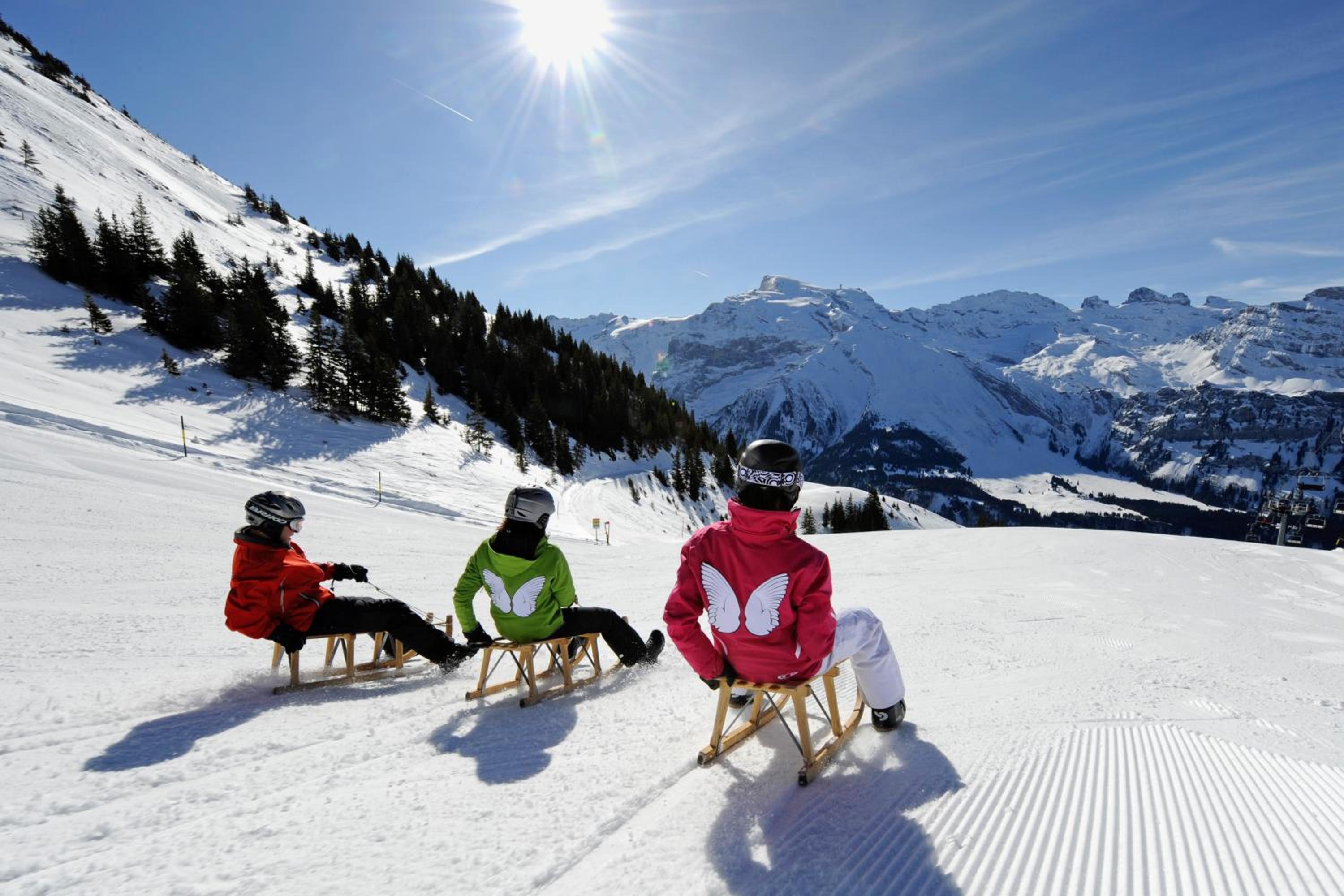Hotel Waldegg - Adults only
