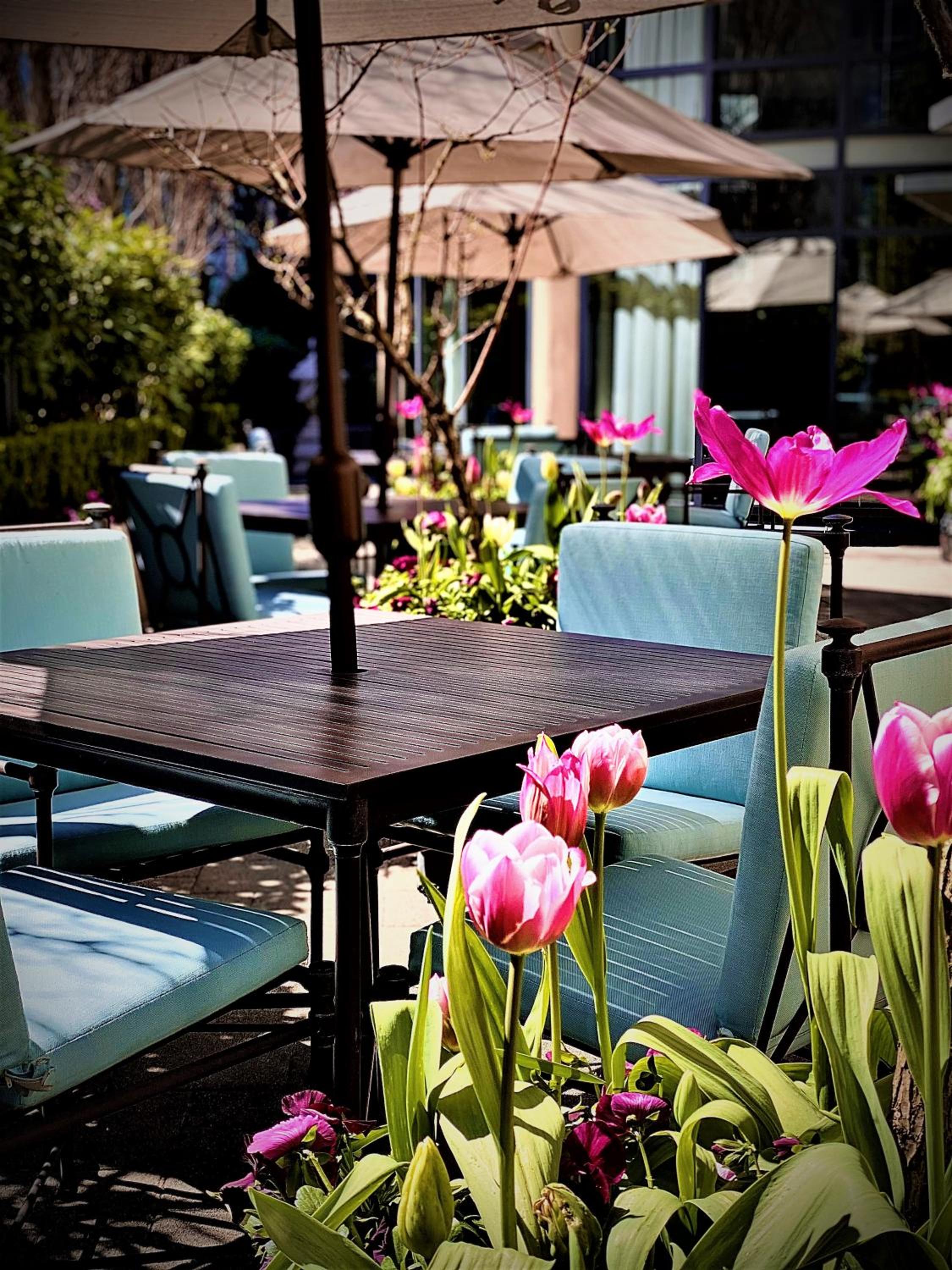 L'Hermitage Hotel