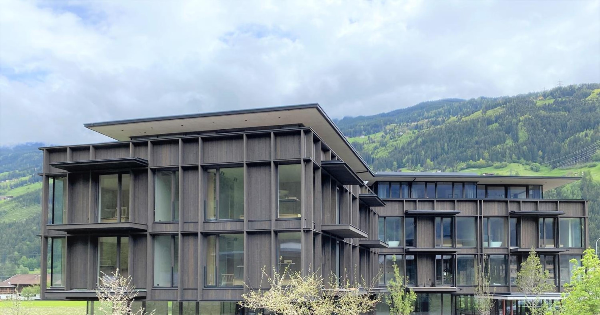 zelloon boutique hotel