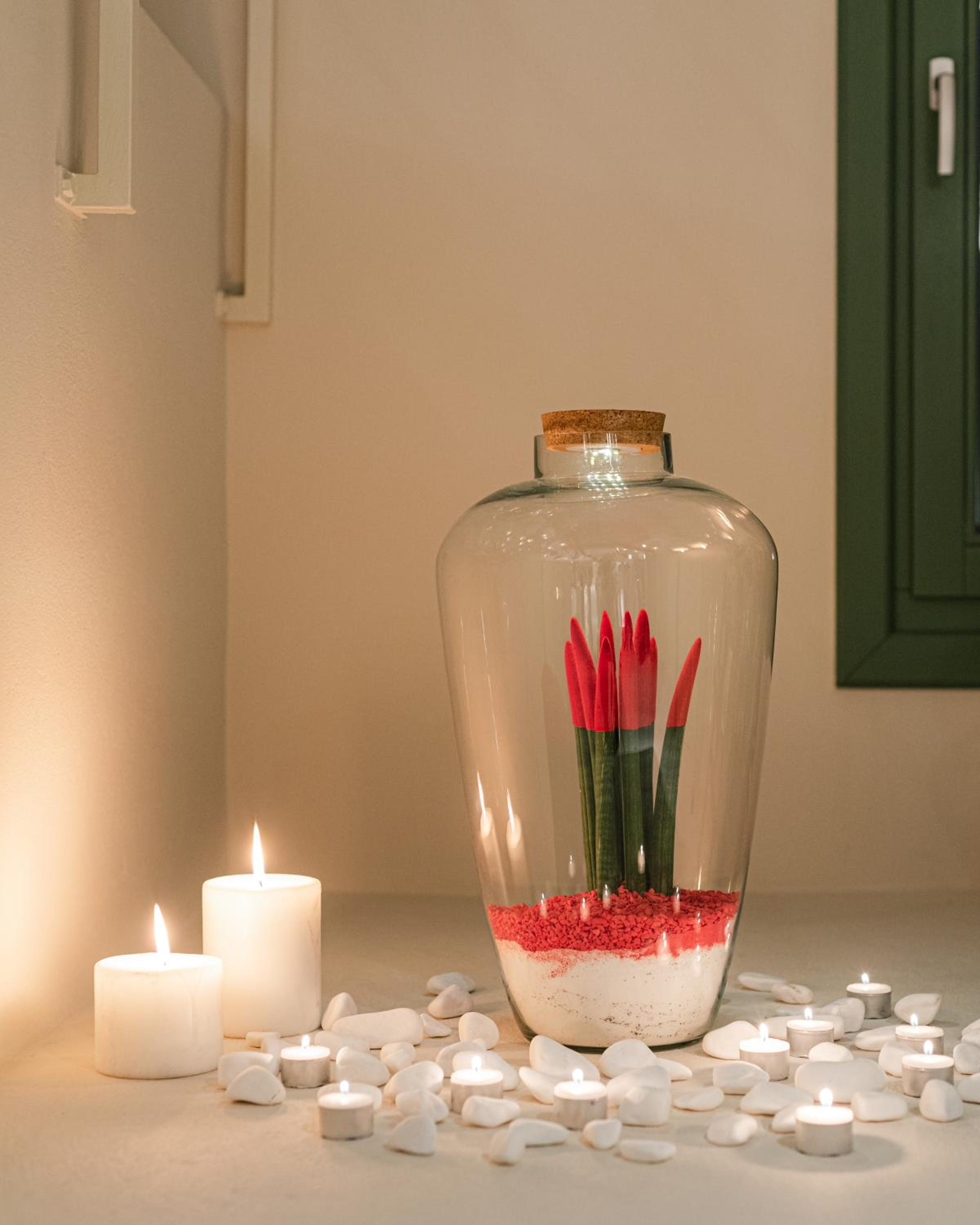 Casa Di Fiori Andros Suites