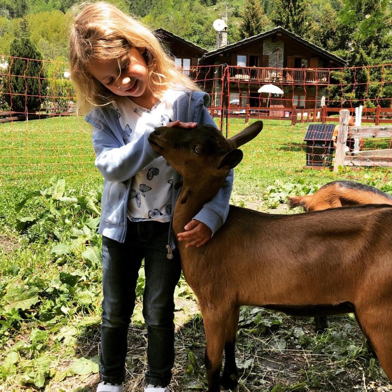 Hotel La Grange - Animal Chic Hotel