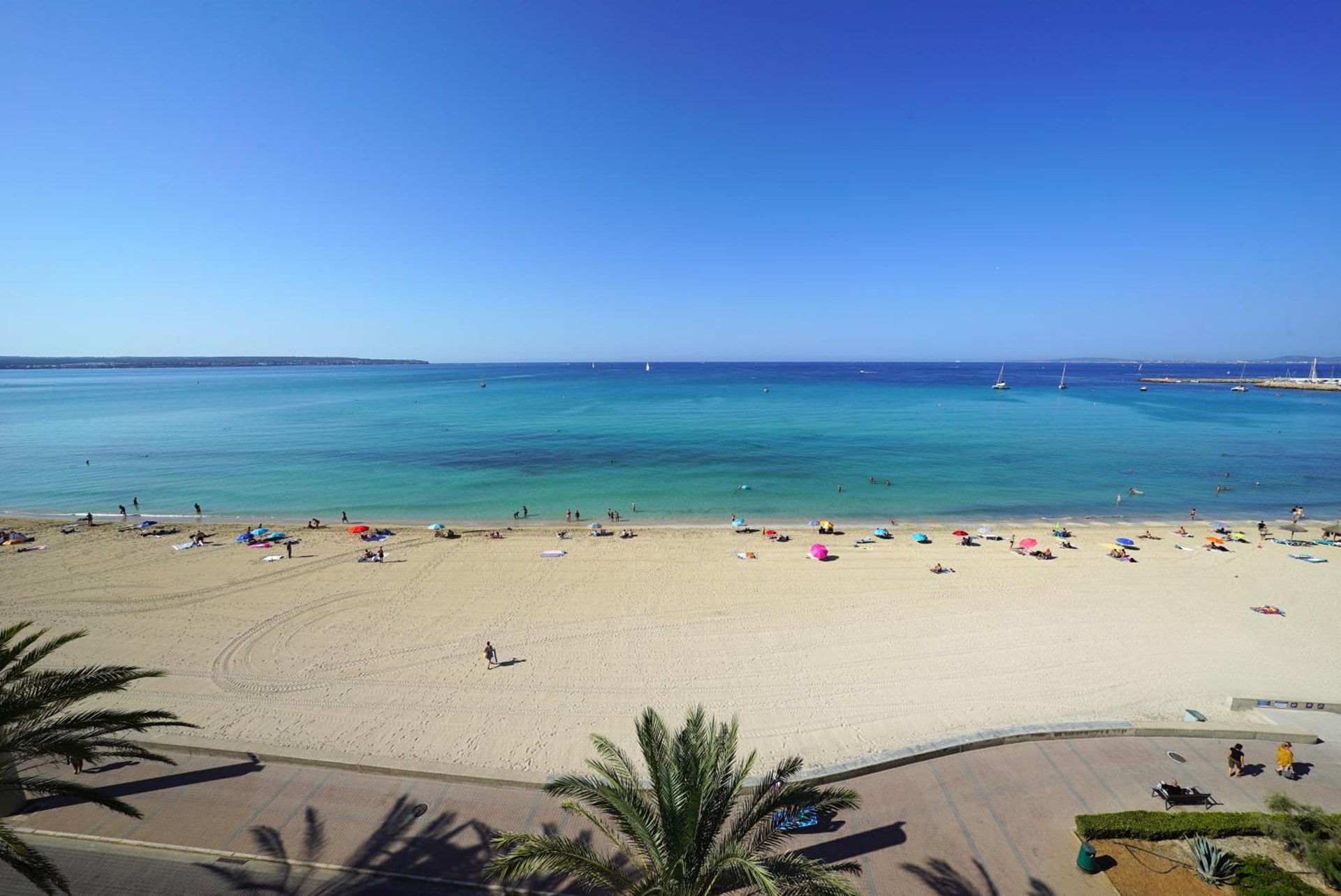 Hotel Eden Palma Playa Adults Only