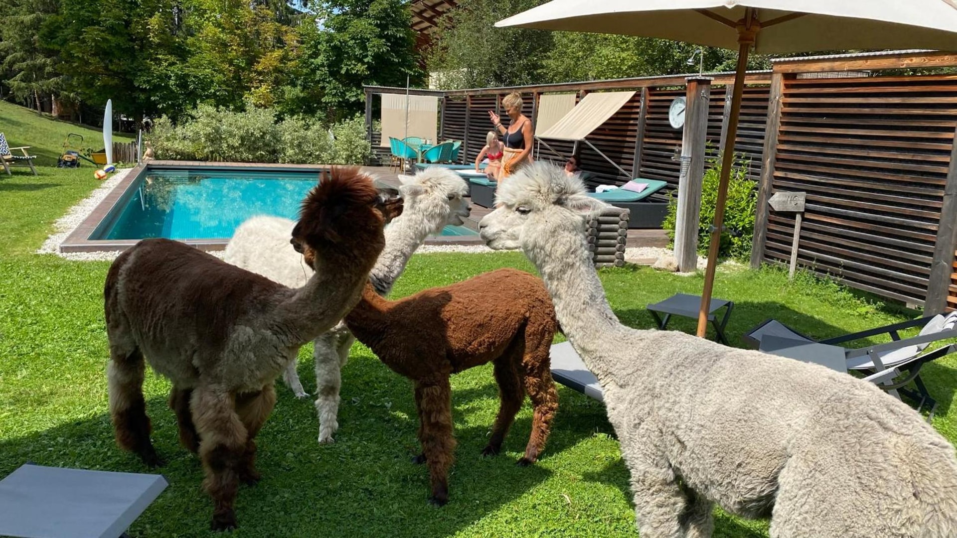 Dolomit Boutique Hotel