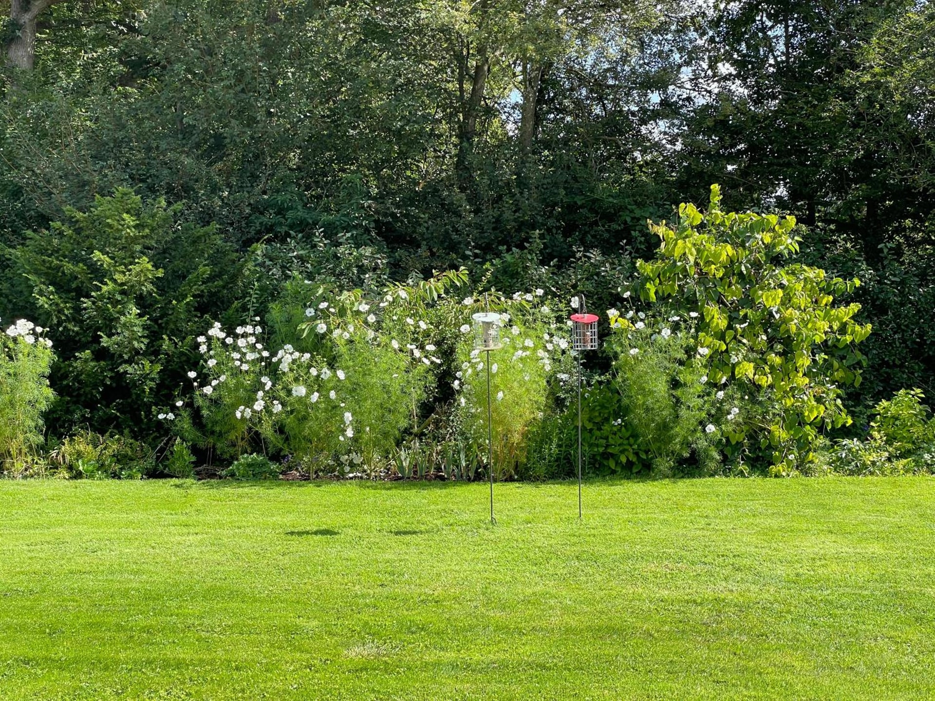 White Lodge B&B