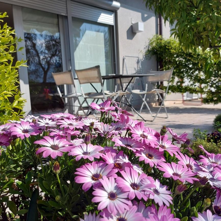 Villa Treccani Apartments