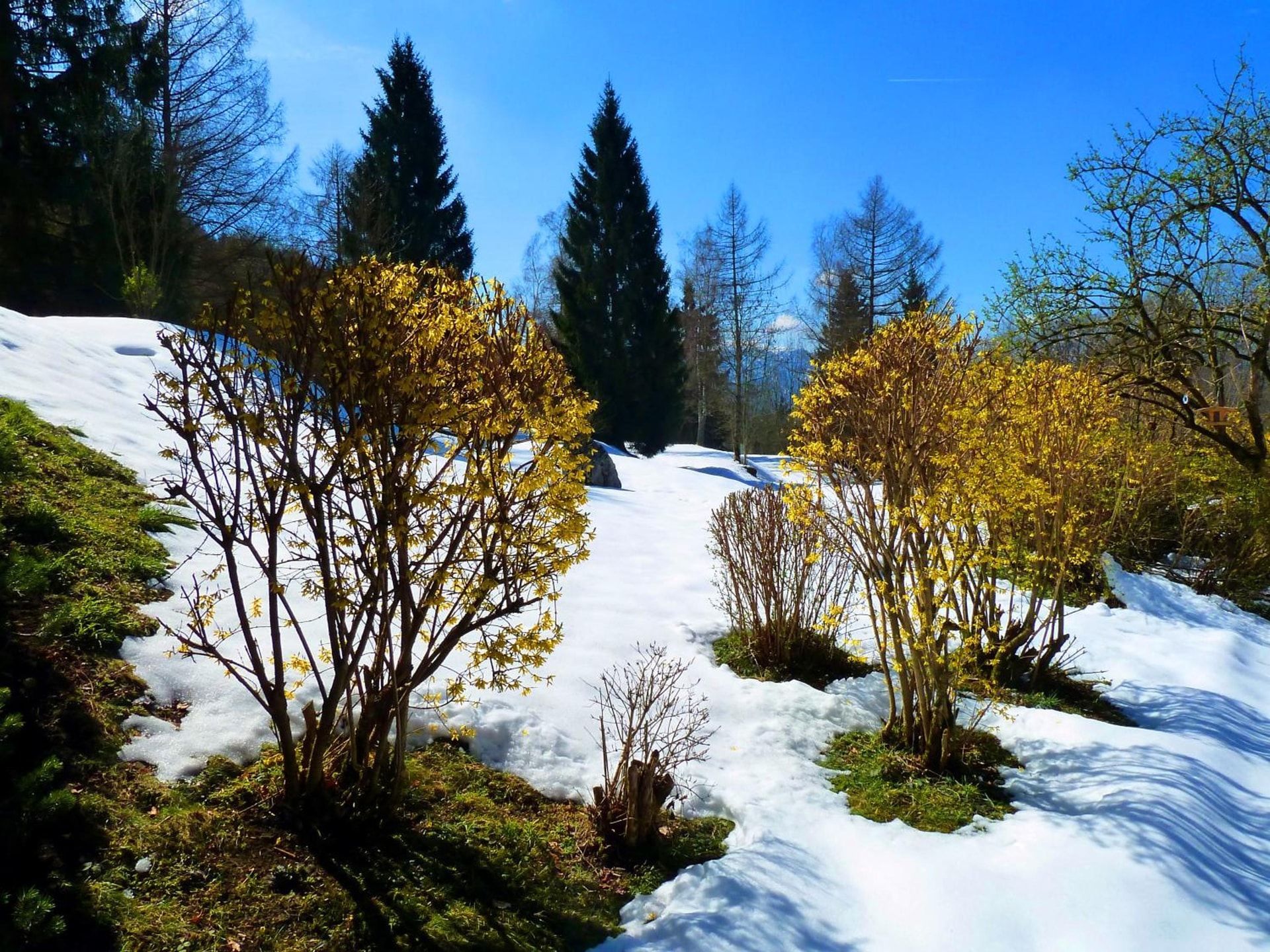 Romantik Hotel Die Gersberg Alm mit Panoramablick auf Salzburg und Outdoor Pool ab Mai