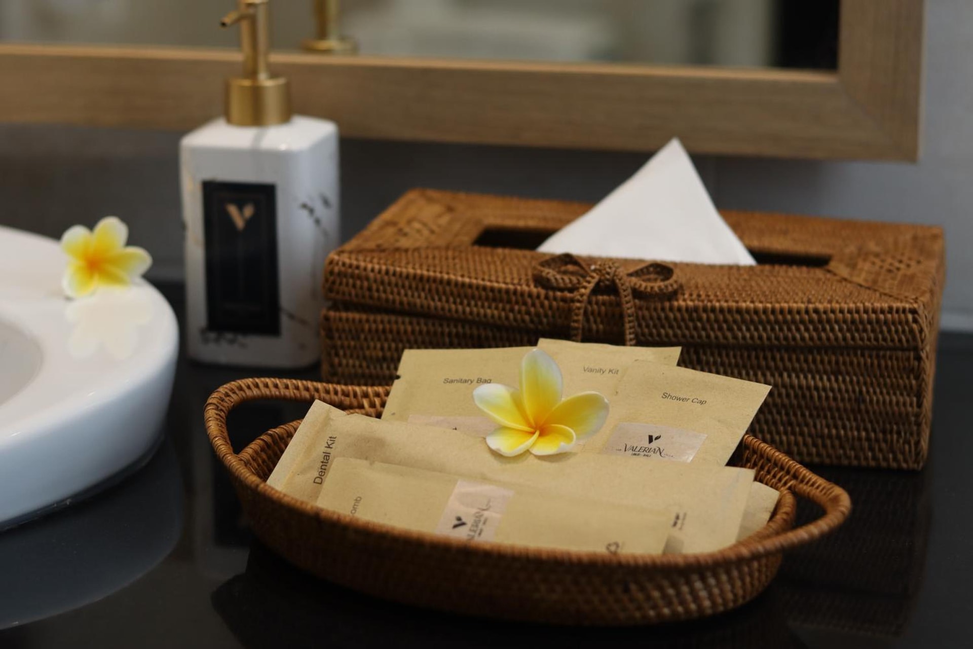 The Valerian Villa Ubud