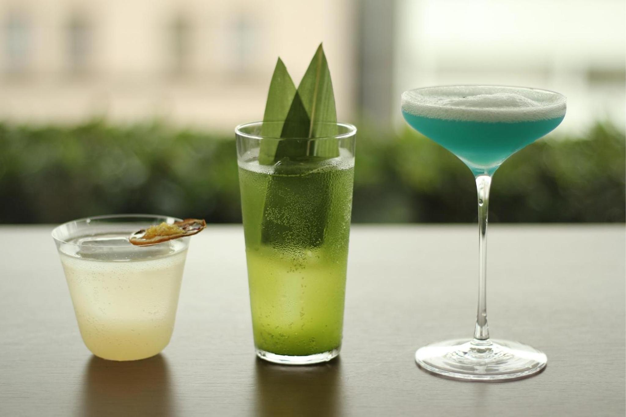 THE KITANO HOTEL TOKYO