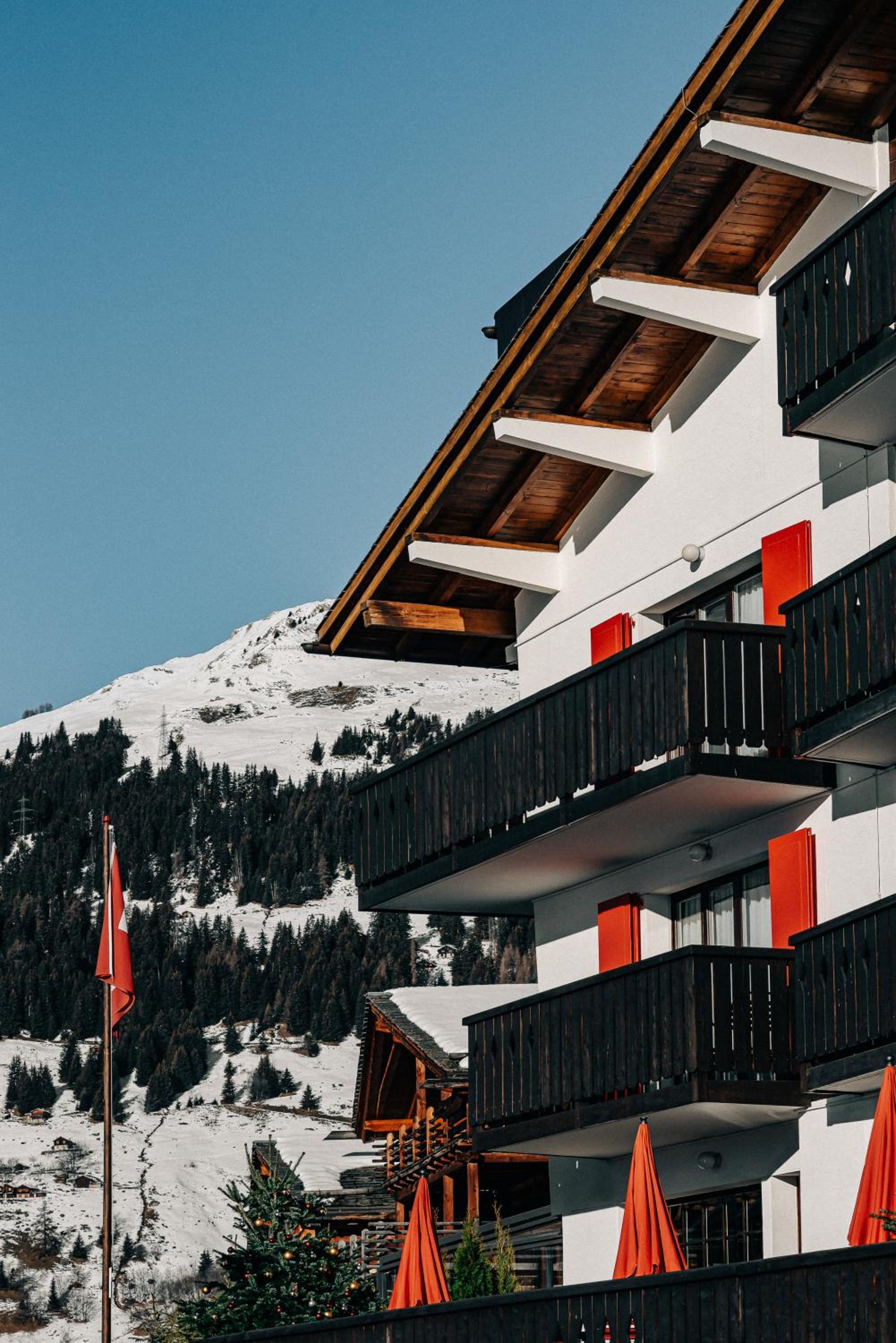 Experimental Chalet Verbier