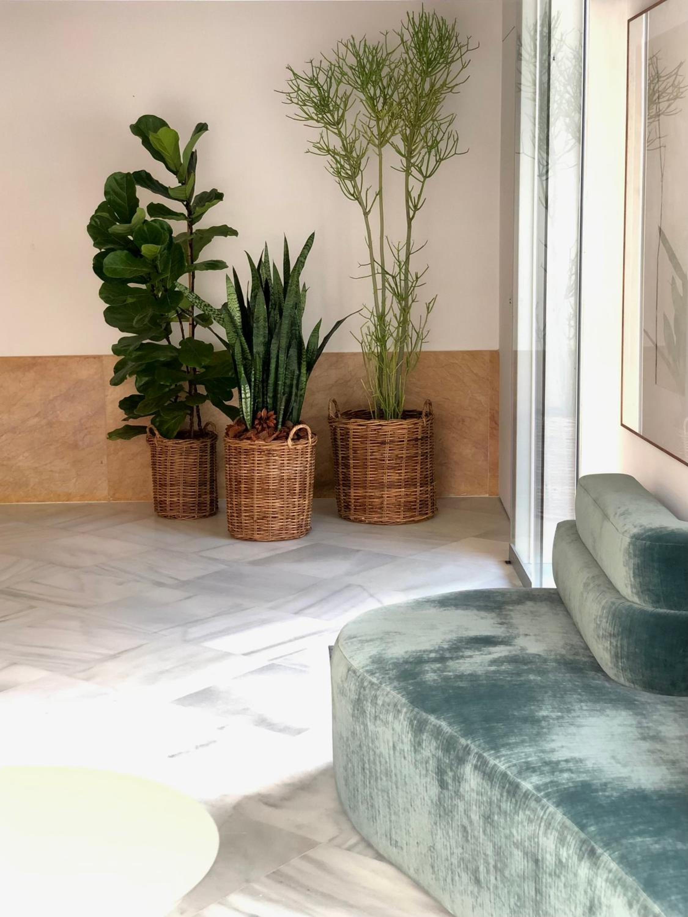 Hotel Tayko Sevilla