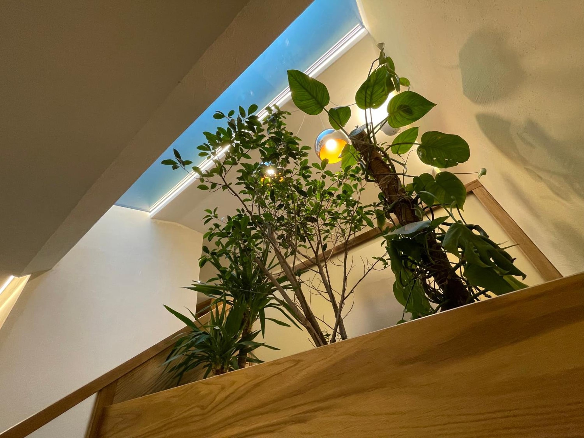 Hotel Aigle