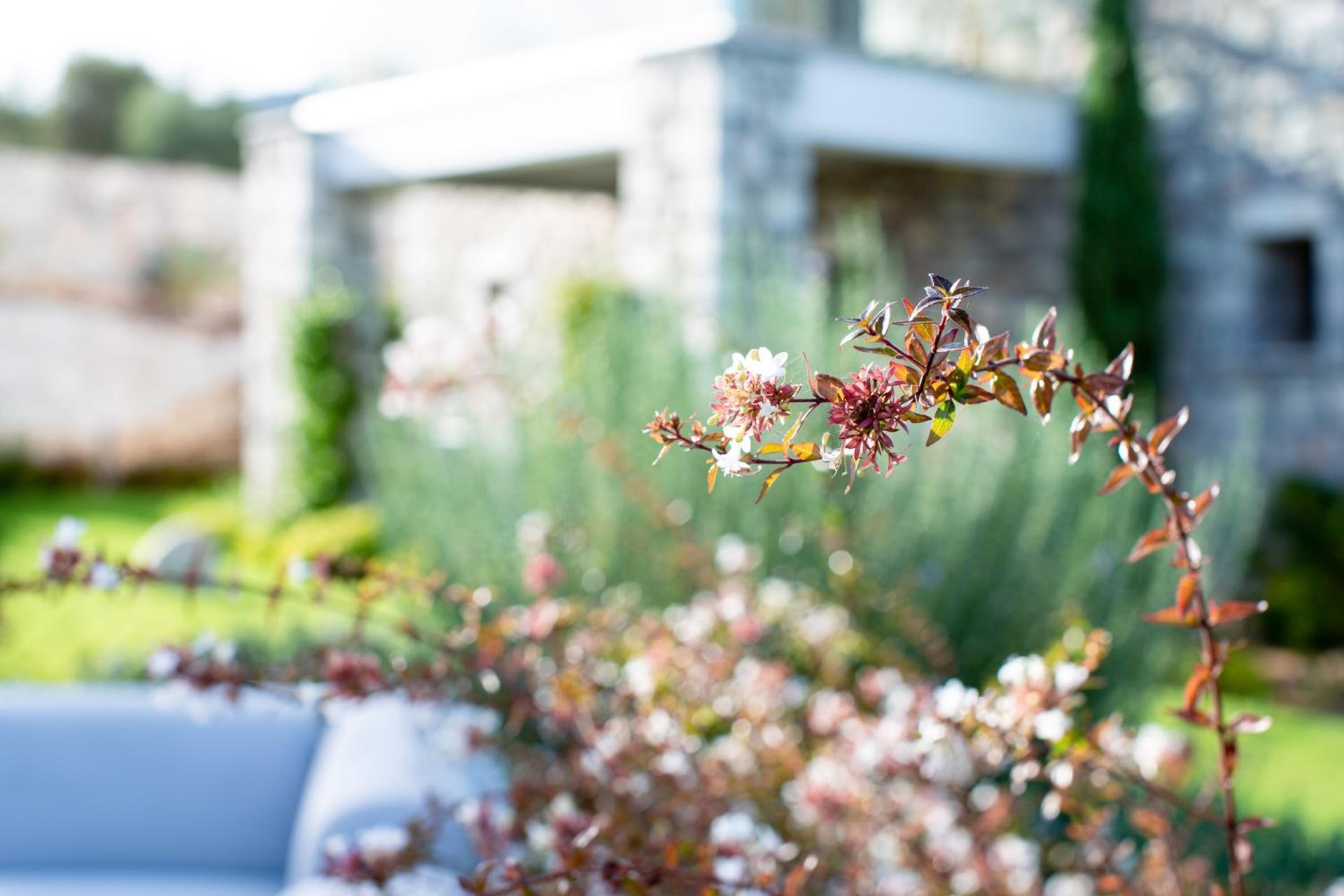 WHITE DONKEY BOUTIQUE Hotel