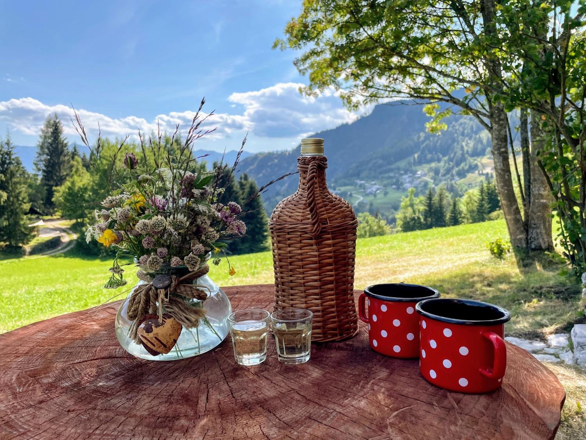 Chalet Hike&Bike above Bohinj valley