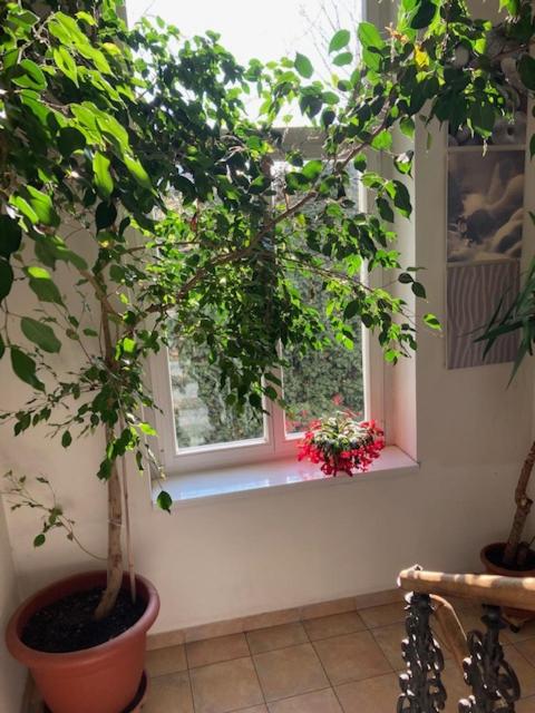 other