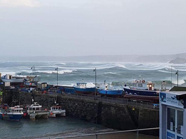 The Harbour