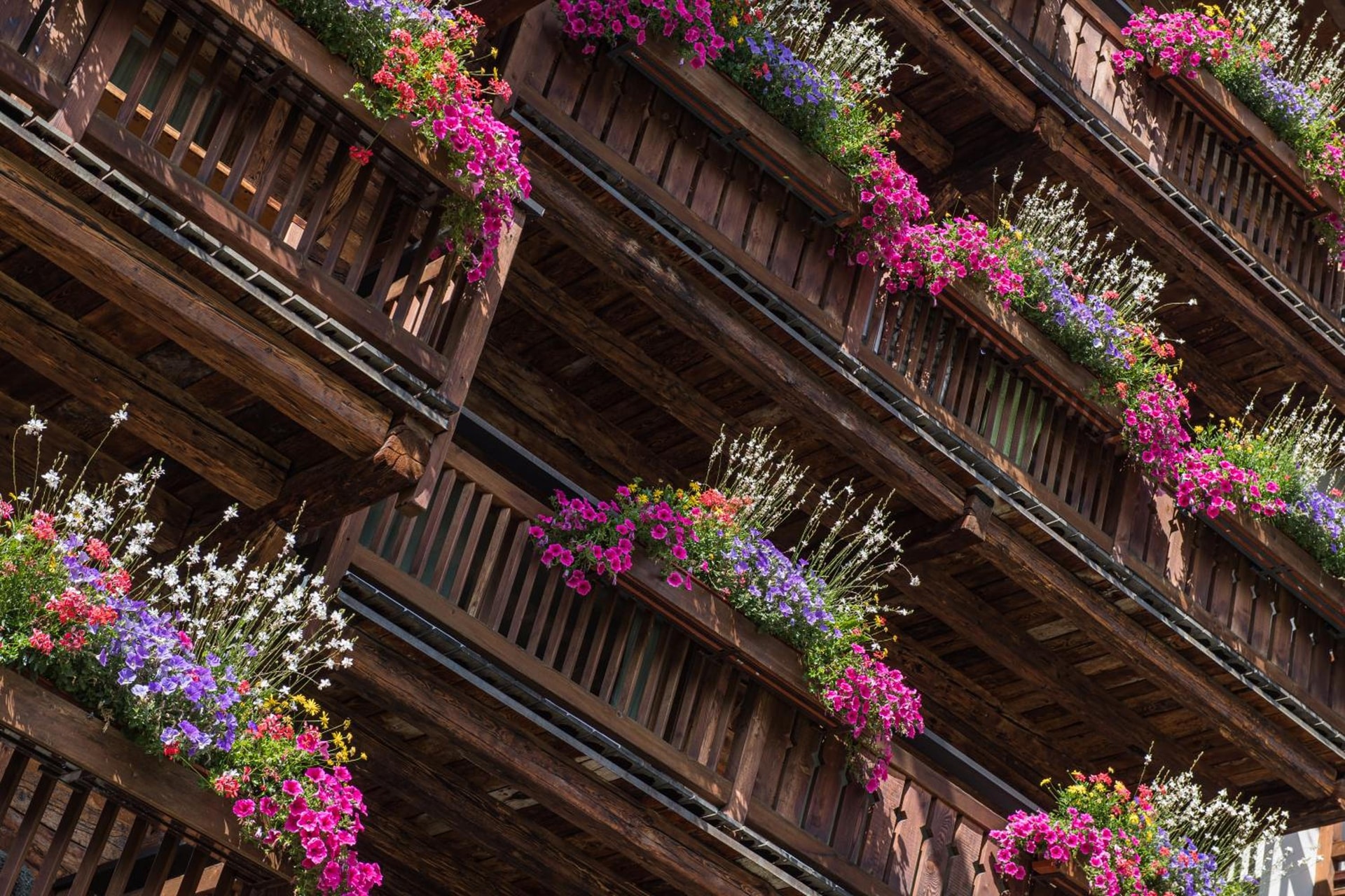 Matterhorn Lodge Boutique Hotel & Apartments