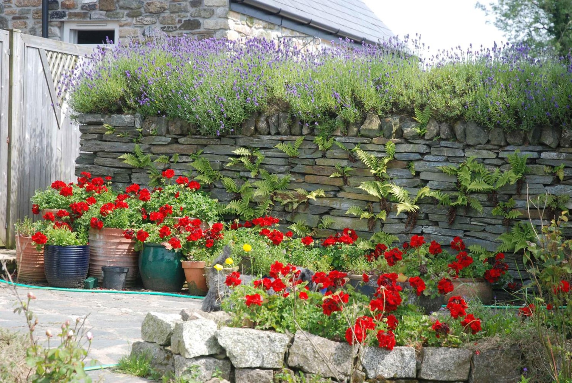 The Elephants Nest Inn