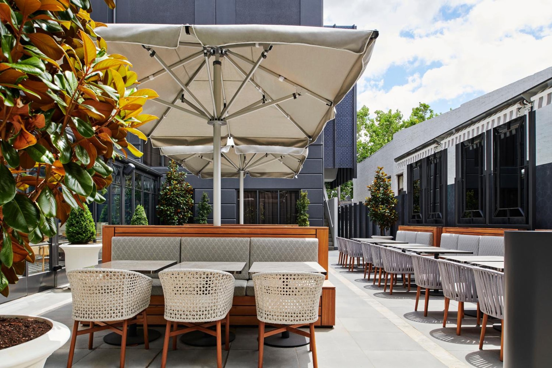 balance & terrace