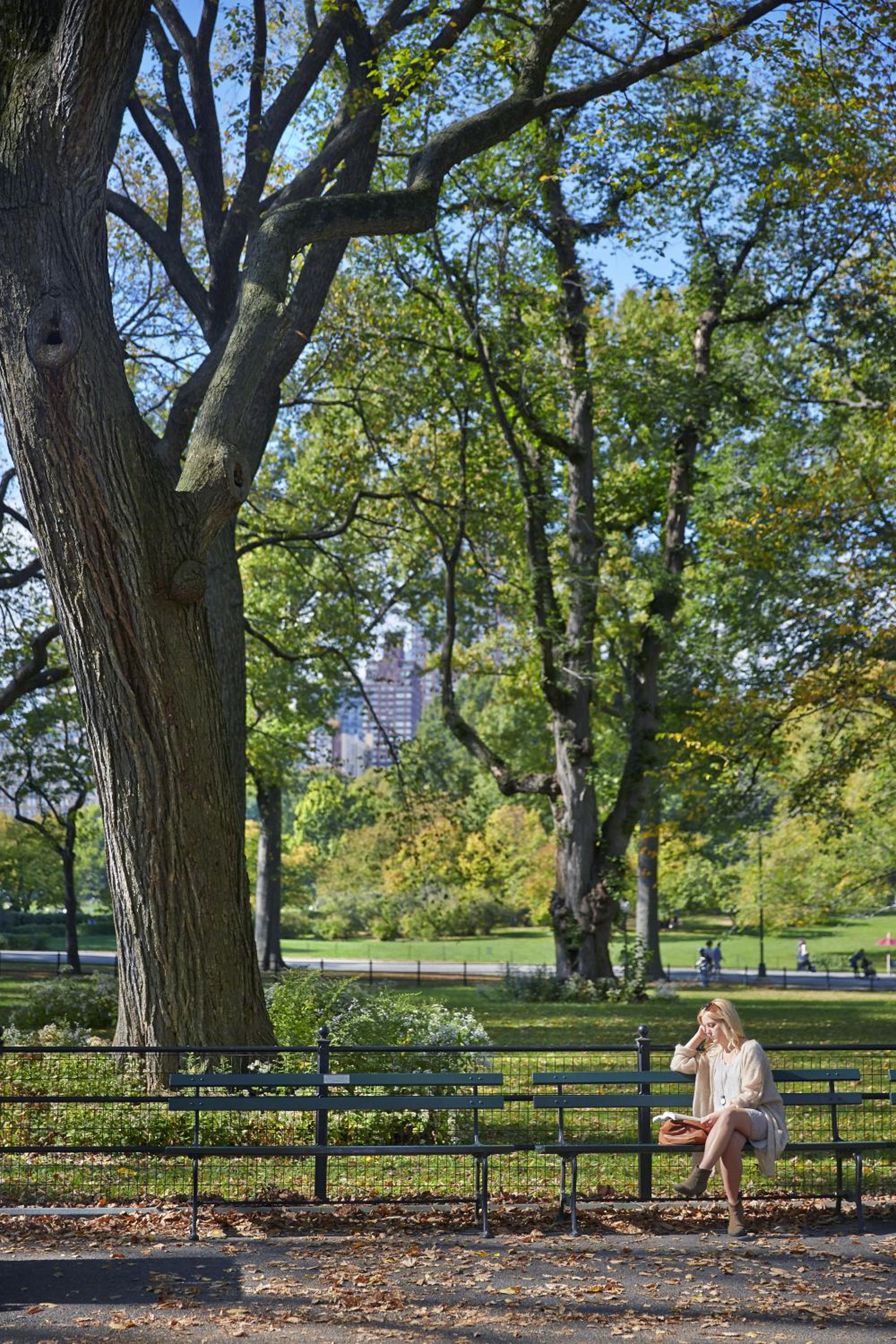 The Gardens Sonesta ES Suites New York