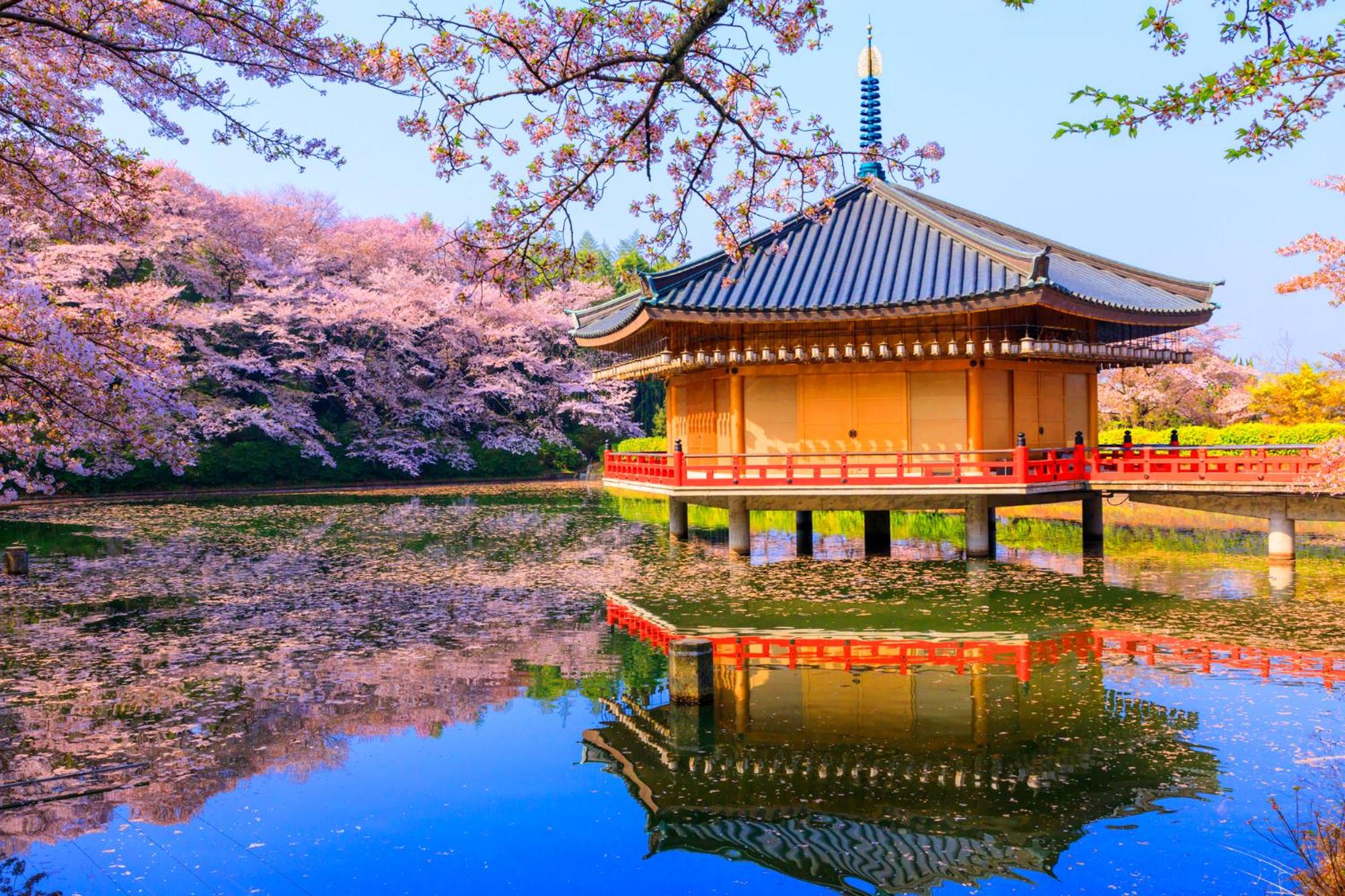 Temple Town Hotel WAQOO Horyuji