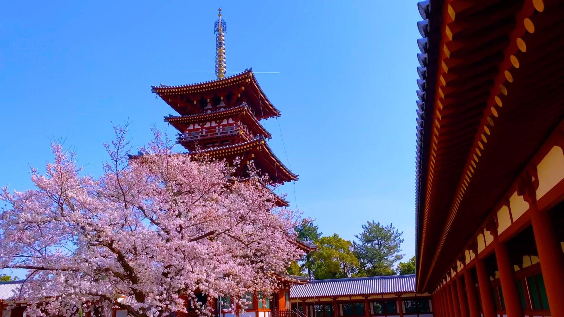 Temple Town Hotel WAQOO Horyuji